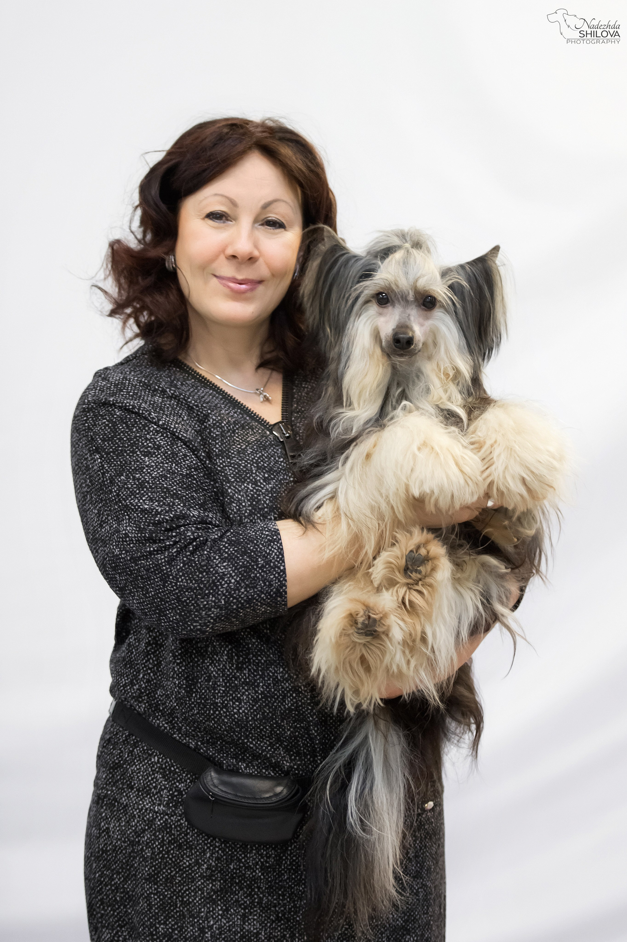 Poale Ell Bazhen. Chinese Crested Dog Kennel Poale Ell