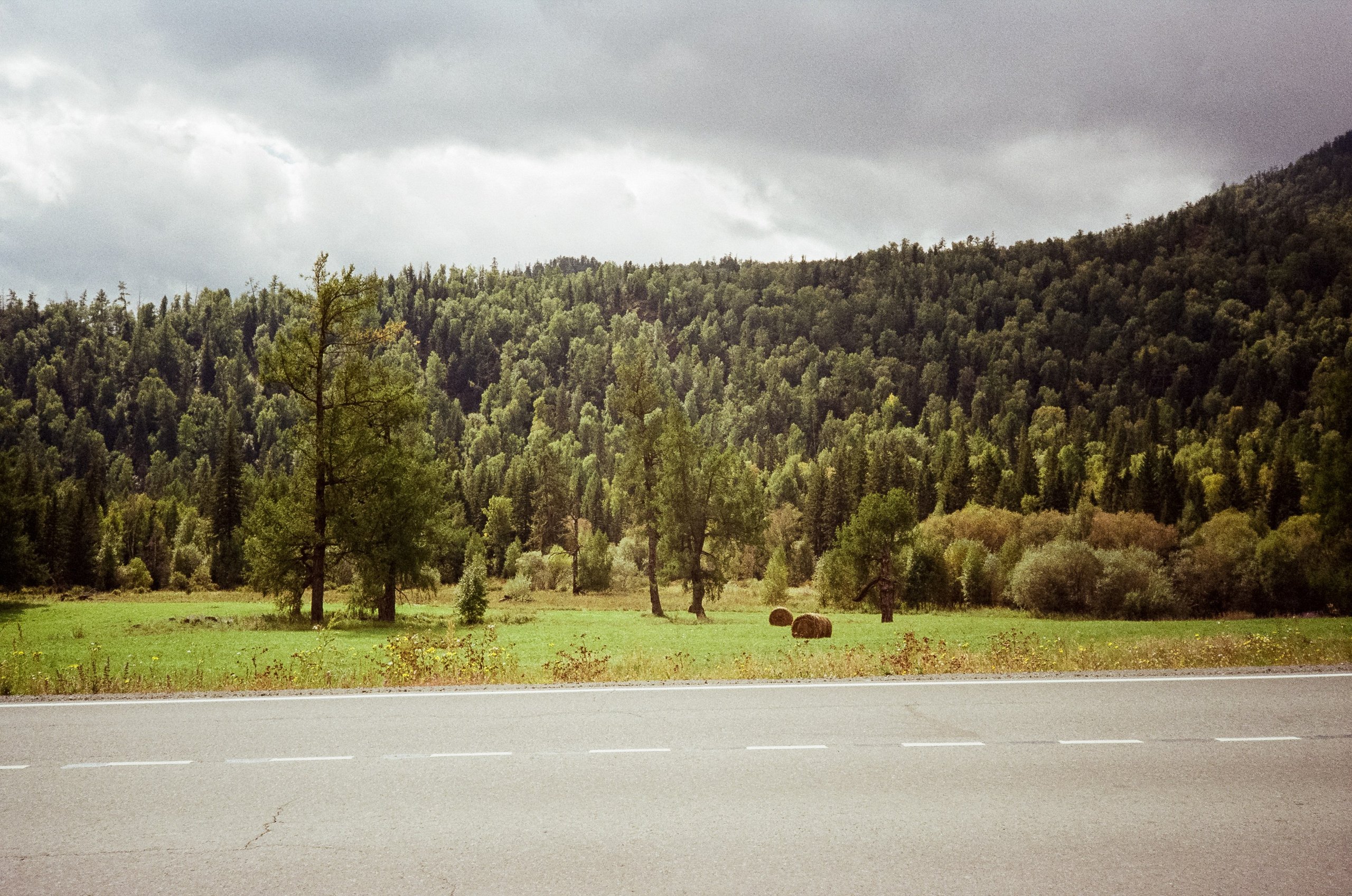 Семинский перевал и Зубы Дракона. Грани Алтая. Фотограф-документалист Мария Осокина