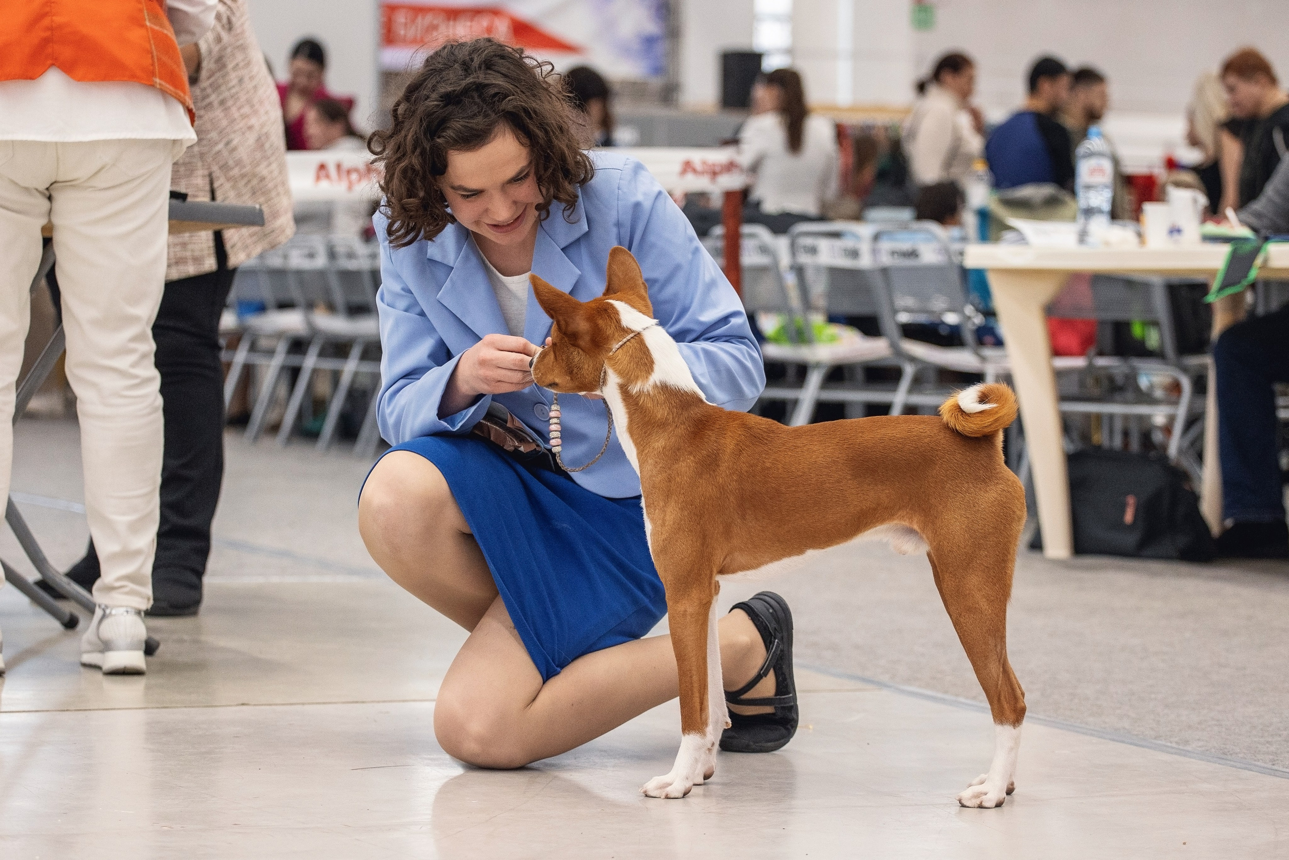 20.01. 2024 Тюмень. YULA KOLESOVA | Фотограф — Анималист | Художник | Тюмень