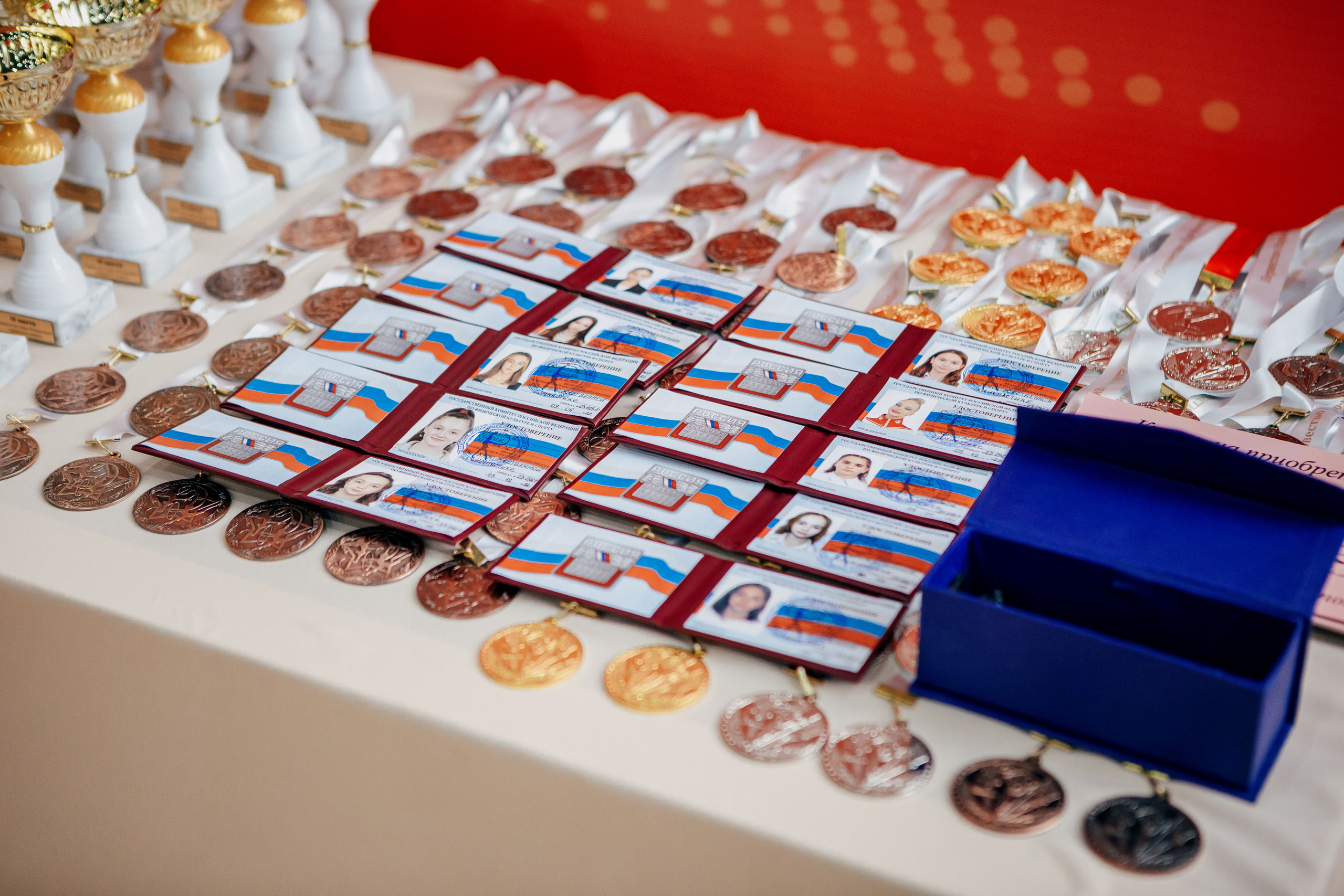 Первенство Наро-Фоминского городского округа по художественной гимнаст. Спортивный фотограф Александр Васильев. RG и AGG