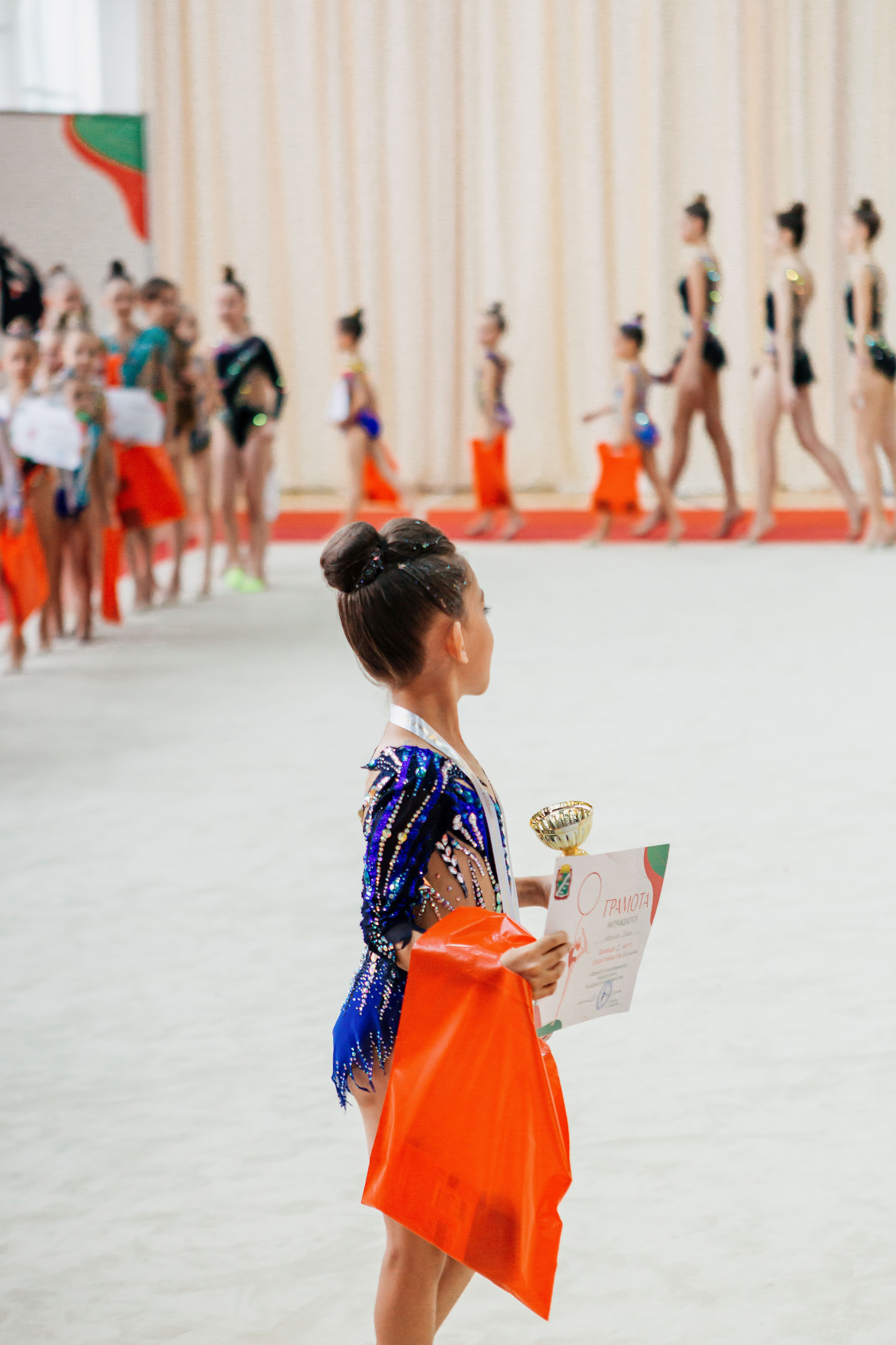 Первенство Наро-Фоминского городского округа по художественной гимнаст. Спортивный фотограф Александр Васильев. RG и AGG