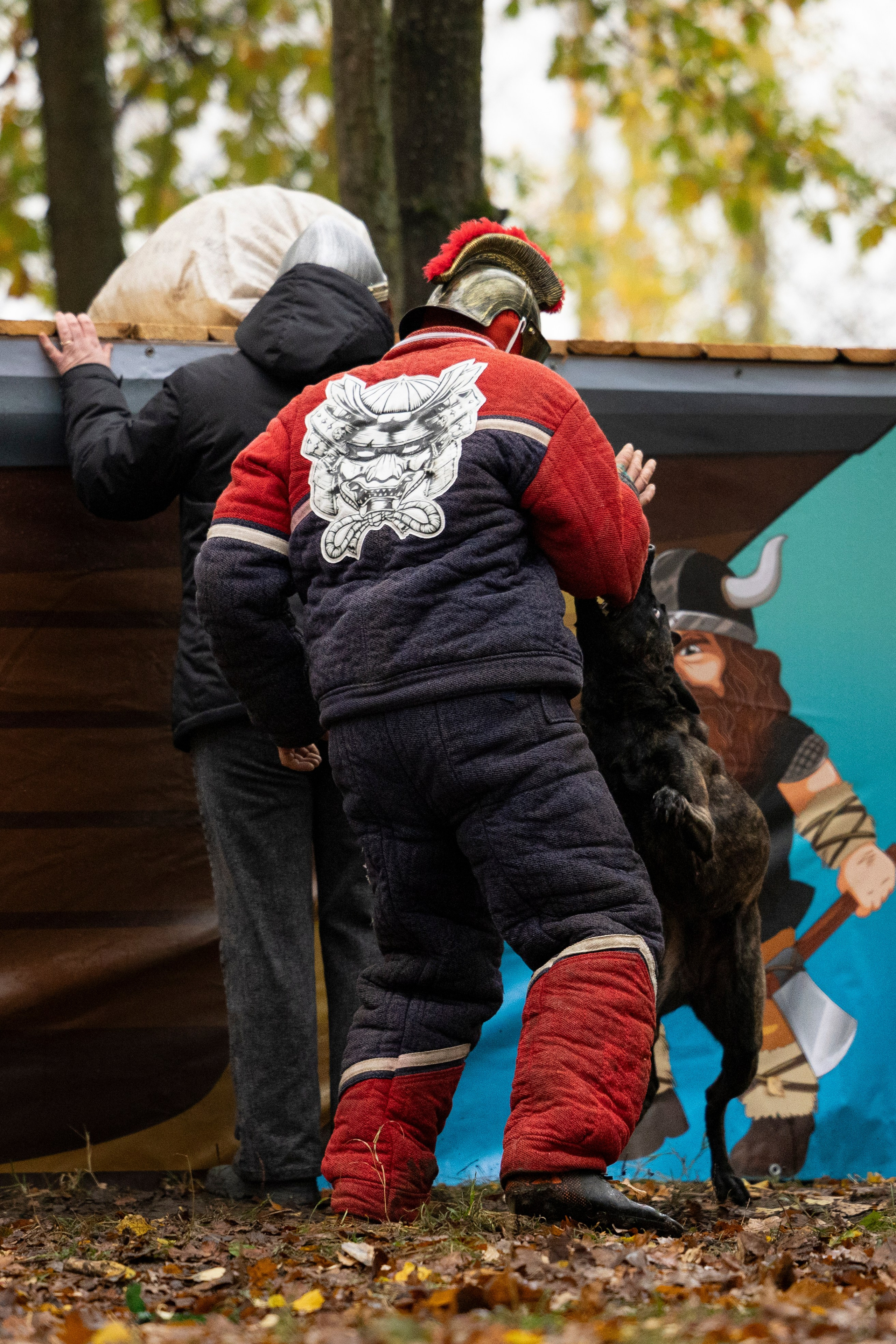 Соревнования по Мондьорингу г. Вологда. Фотограф-анималист Анна Маринич