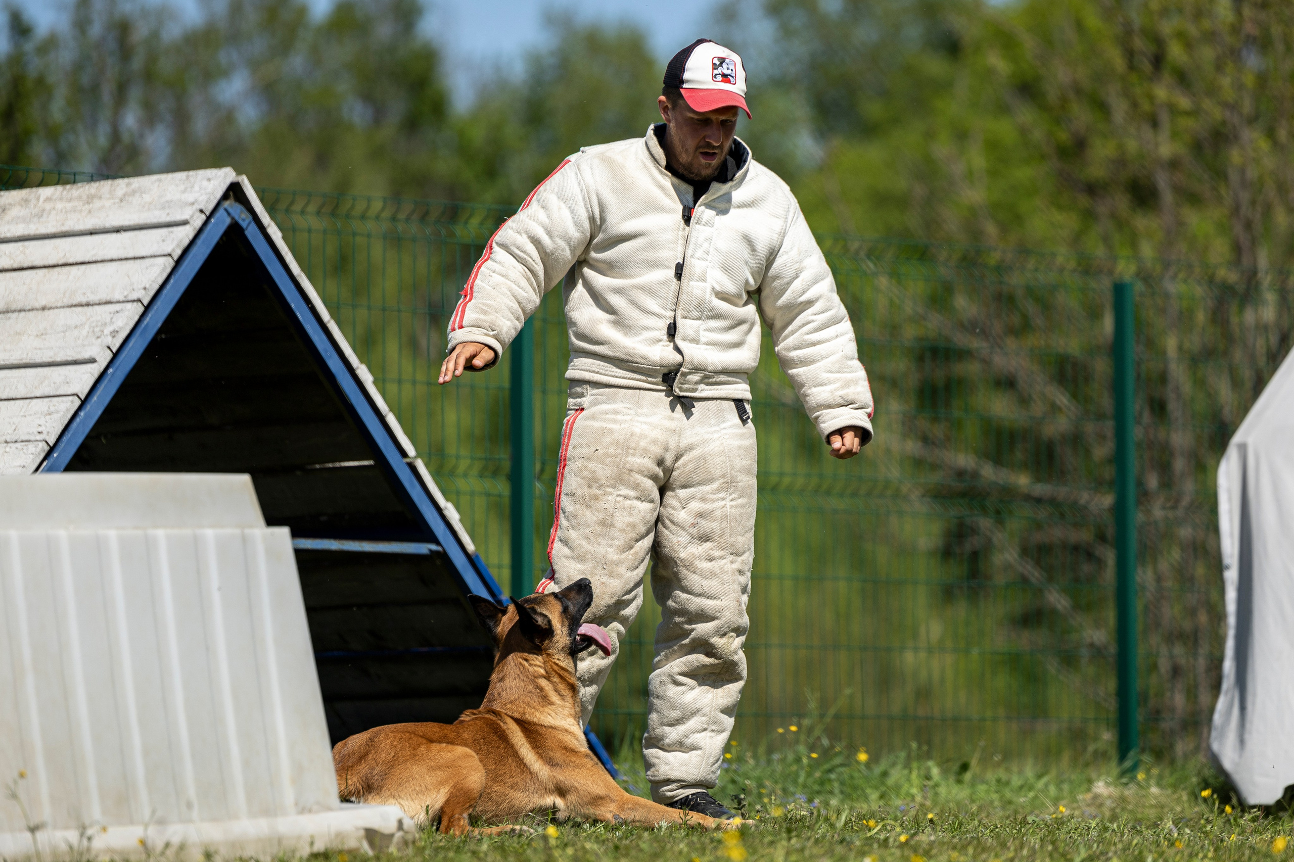 Испытания по мондьорингу в Нижнем Новгороде. Фотограф-анималист Анна Маринич