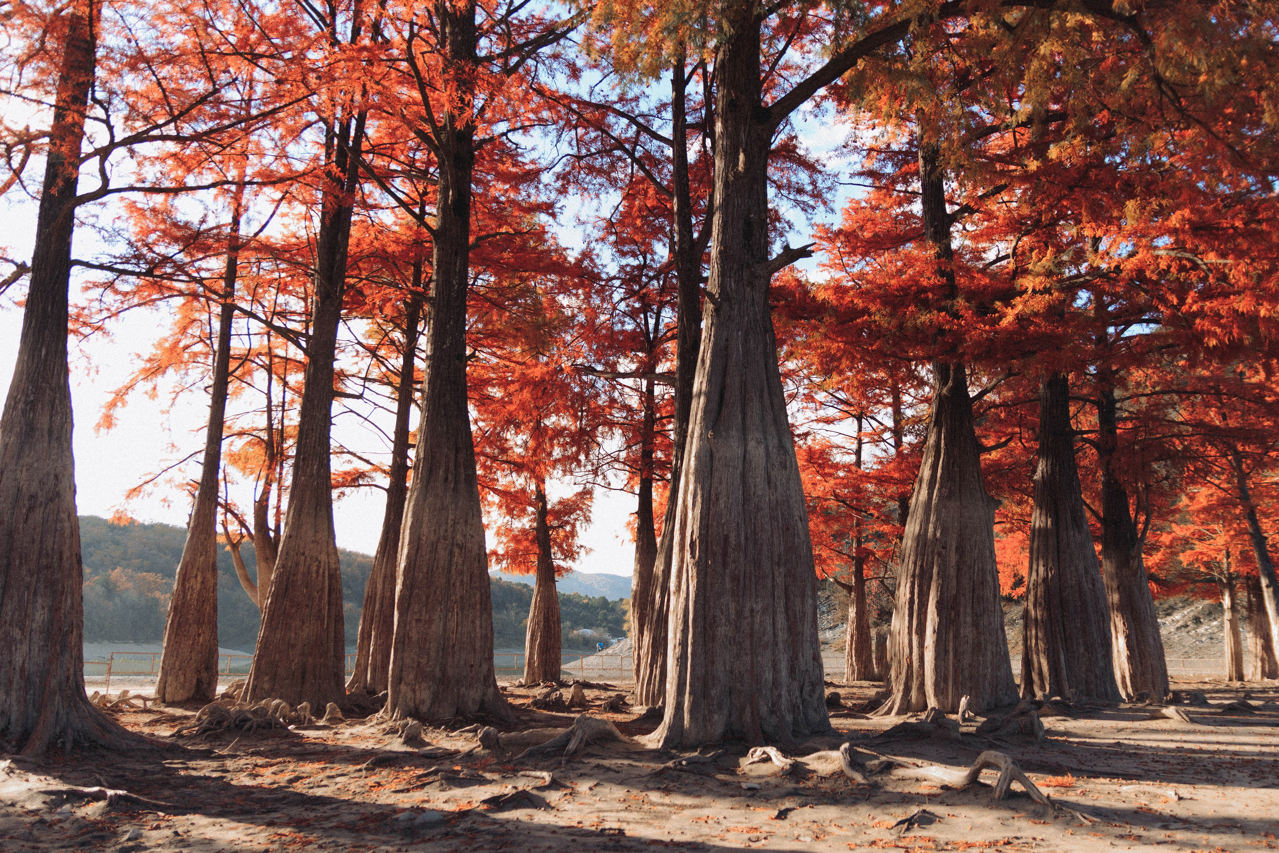 Ксюша и Яша. Фотограф в Краснодаре Ксения Мархинина