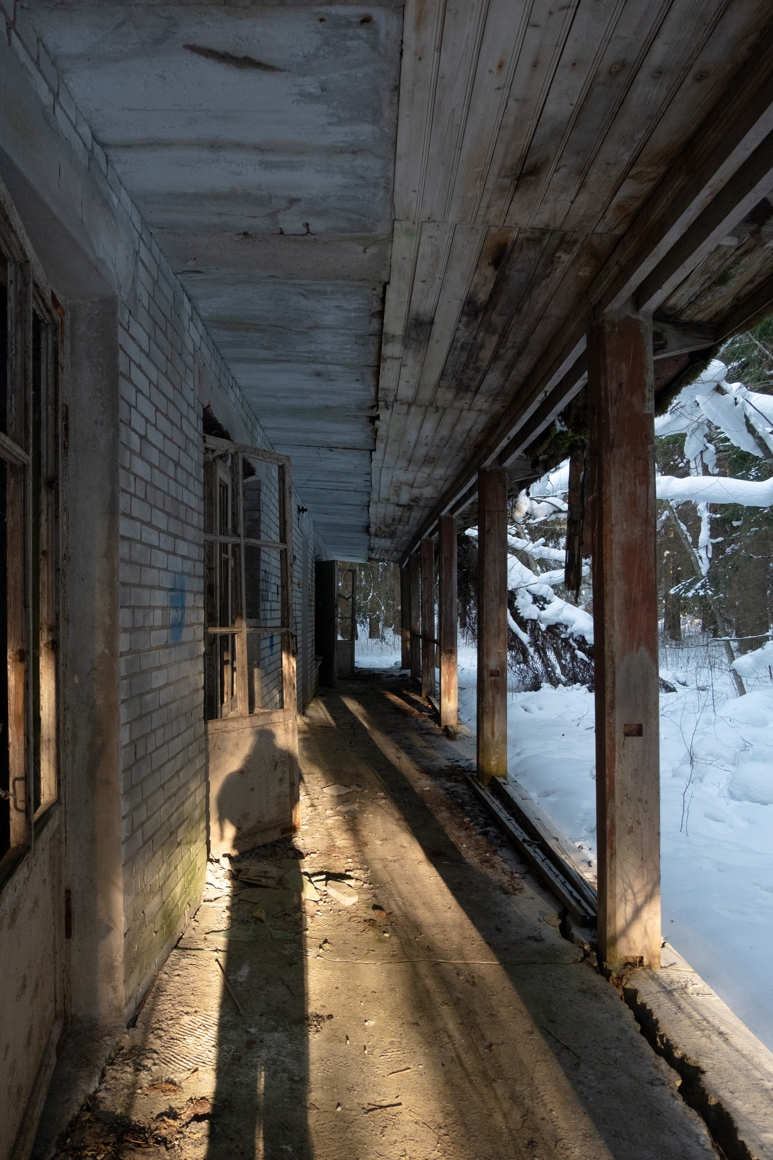 Пионерлагеря. Курочкина Софья