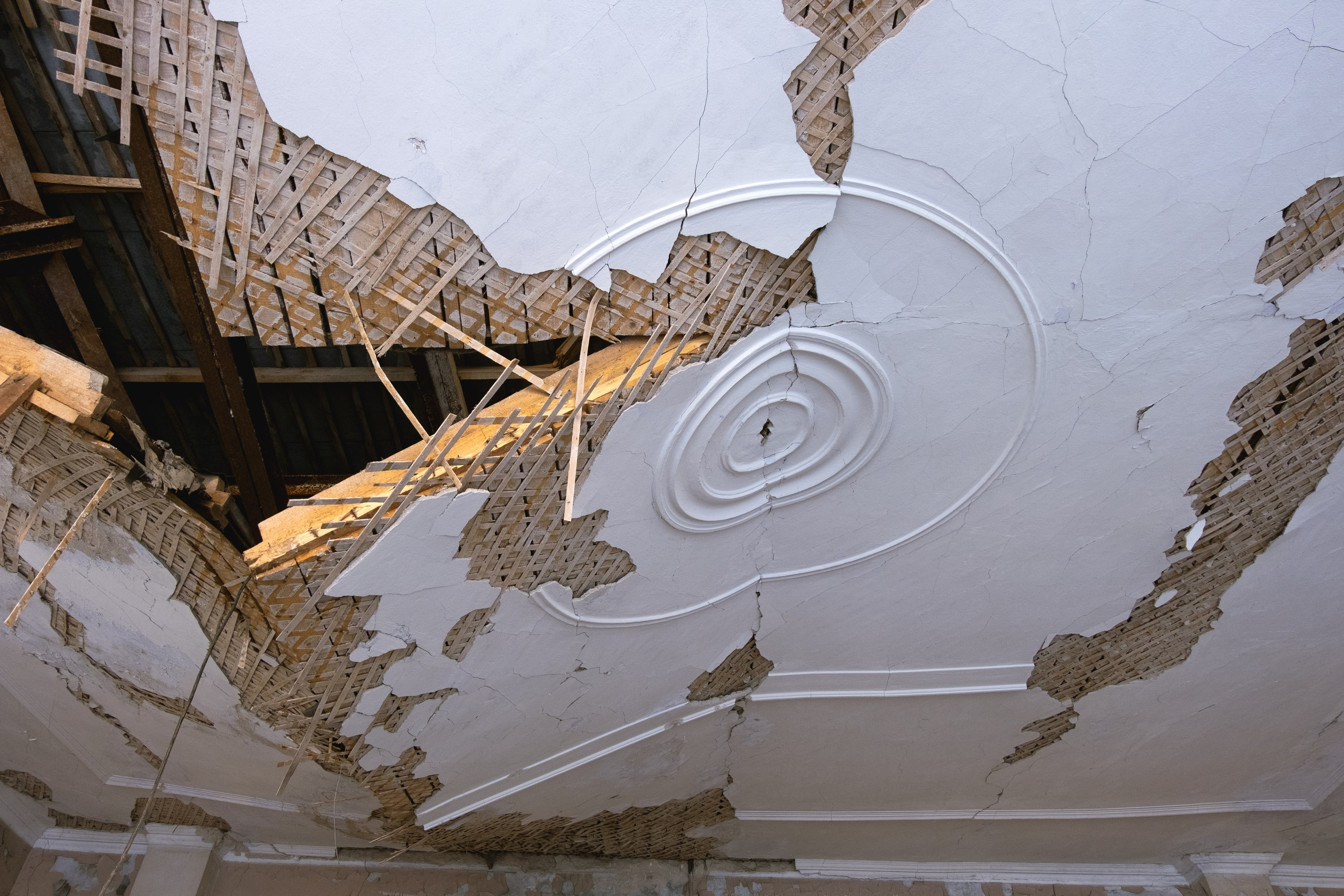 Пионерлагеря. Курочкина Софья