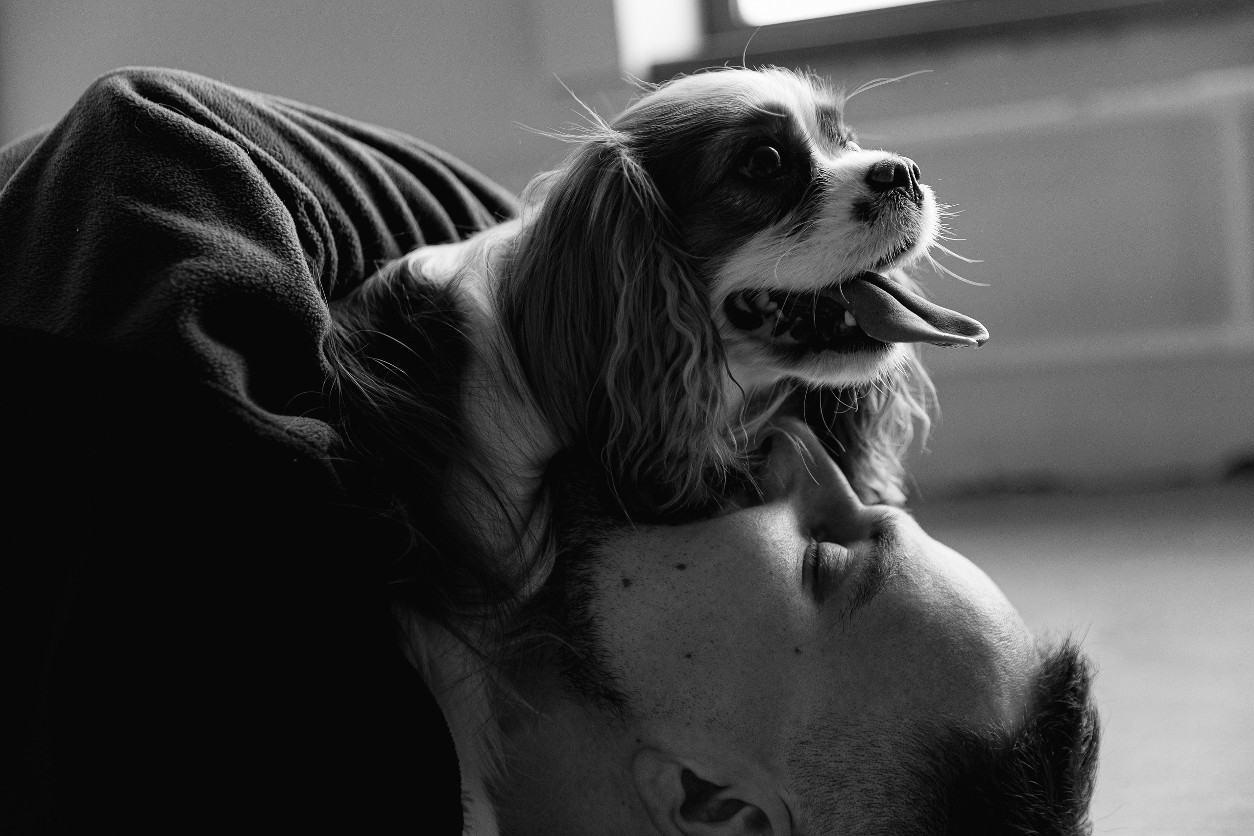 ALINA | TOLYA | FLORA. Anna Fridenberg | wedding photographer