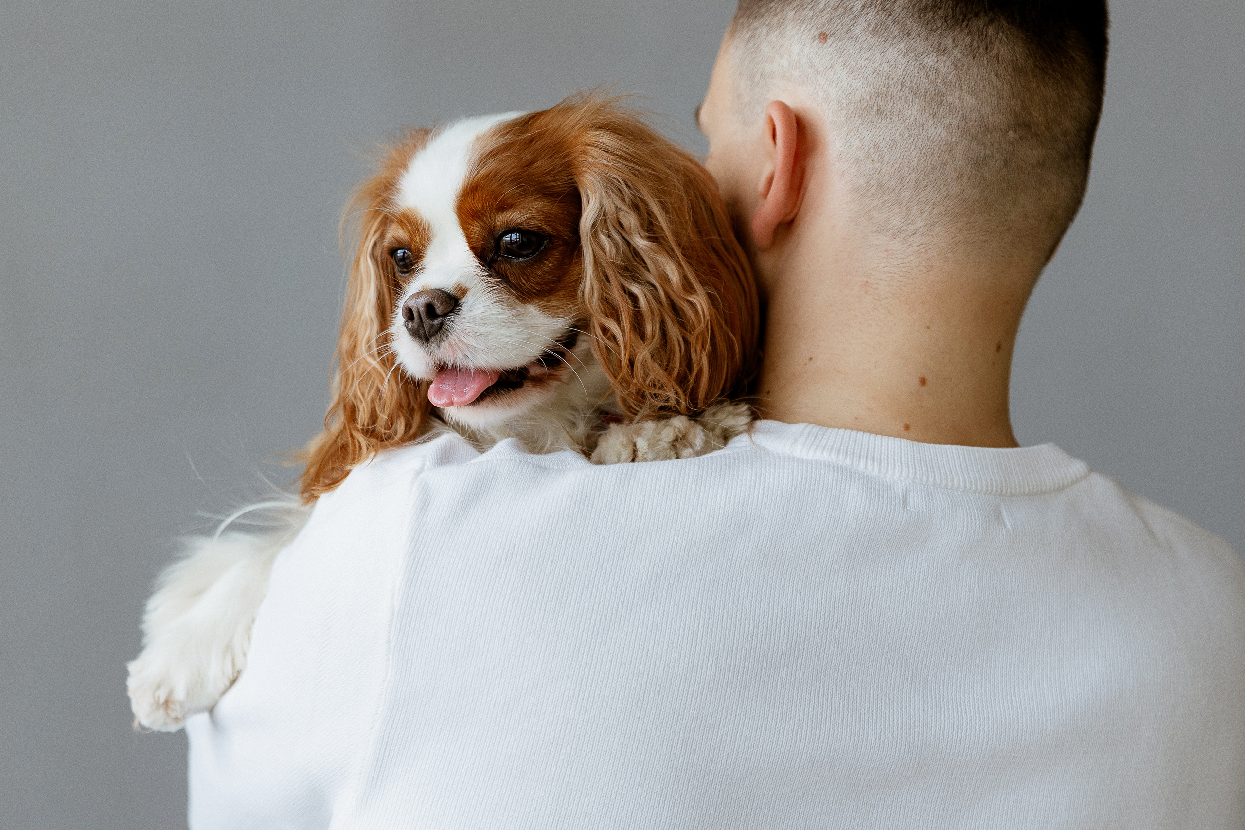 ALINA | TOLYA | FLORA. Anna Fridenberg | wedding photographer