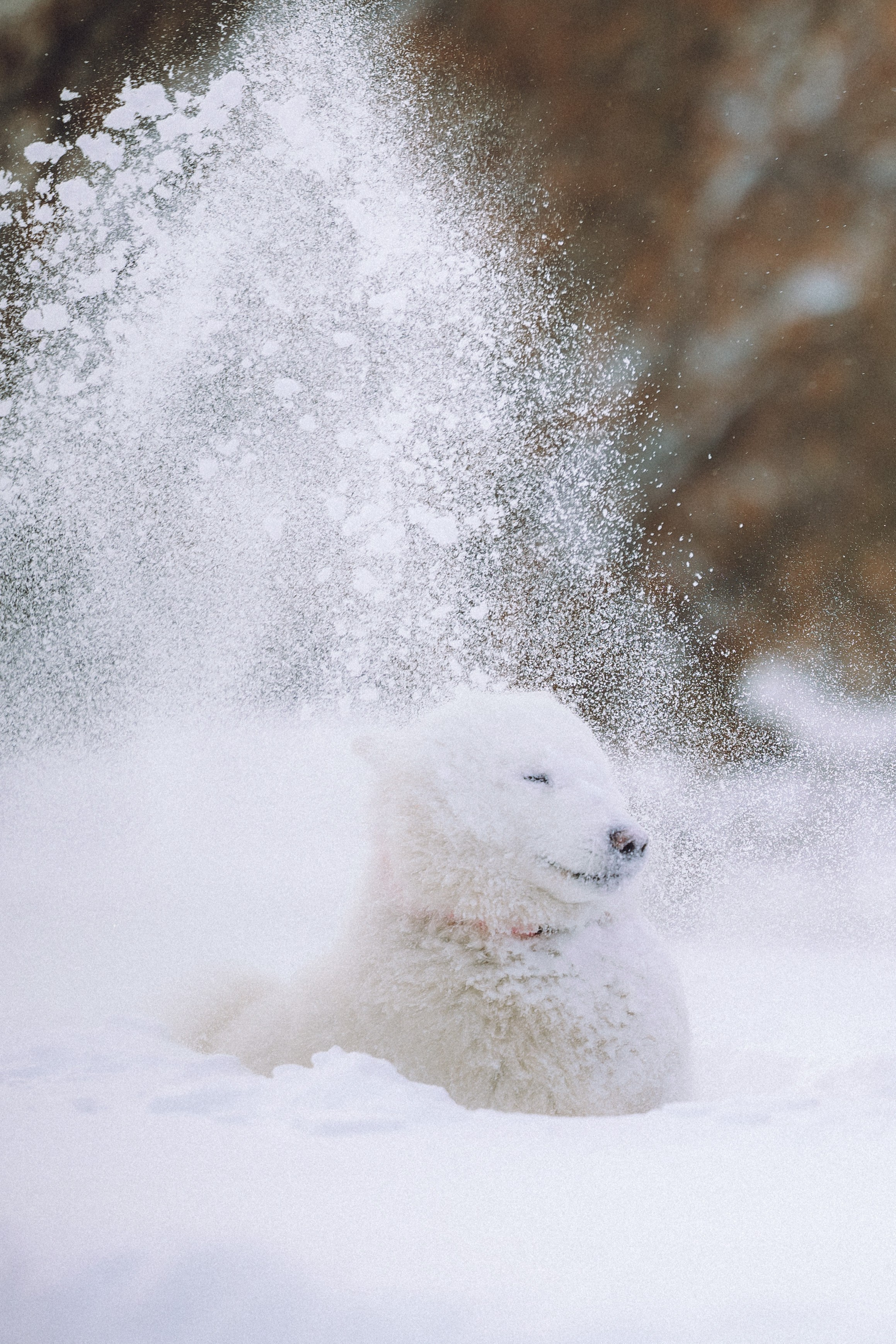 Мария и Мася