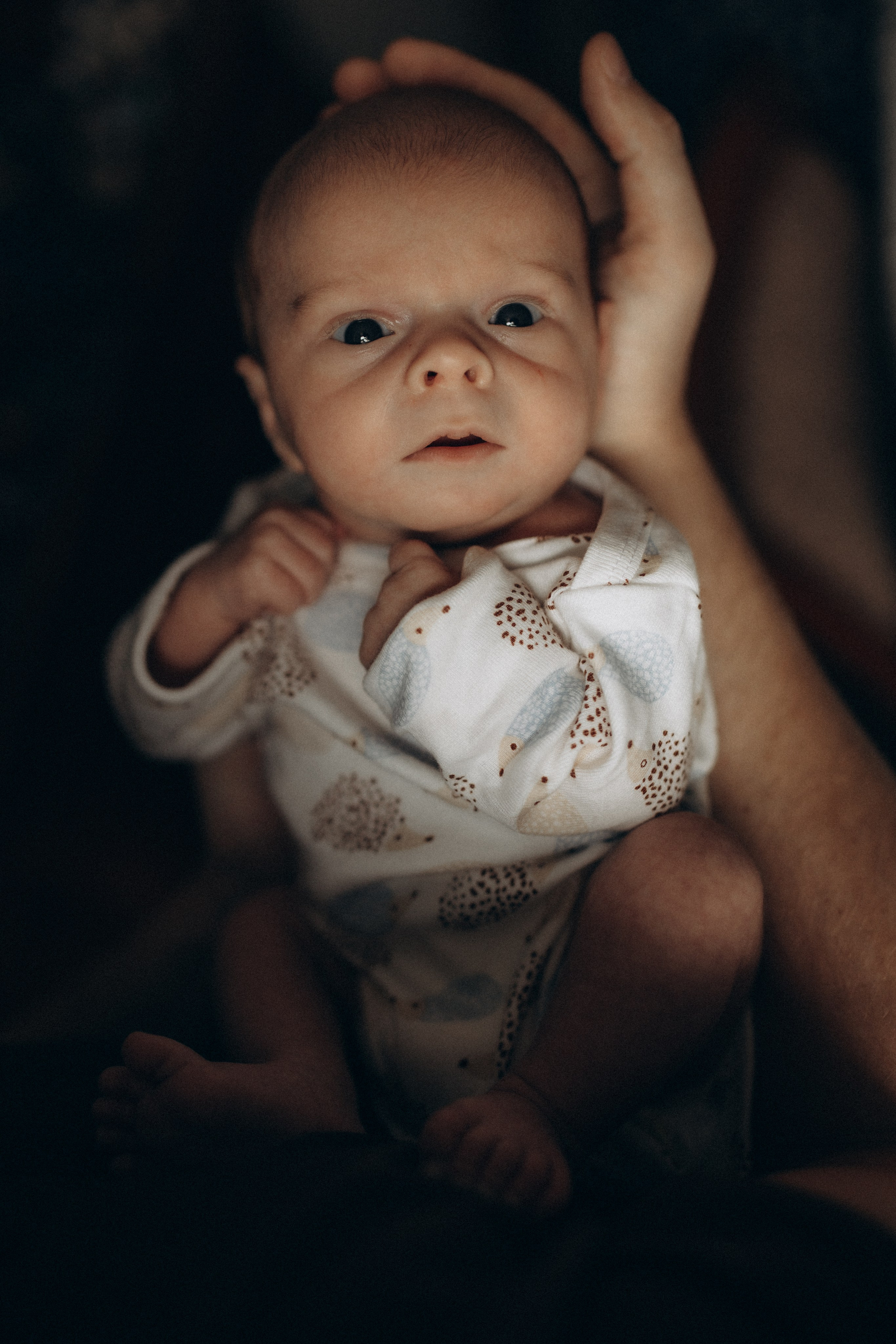 Семейная фотосессия с новорожденным. Семейный фотограф в Москве и Люберцах Юлия Гуськова