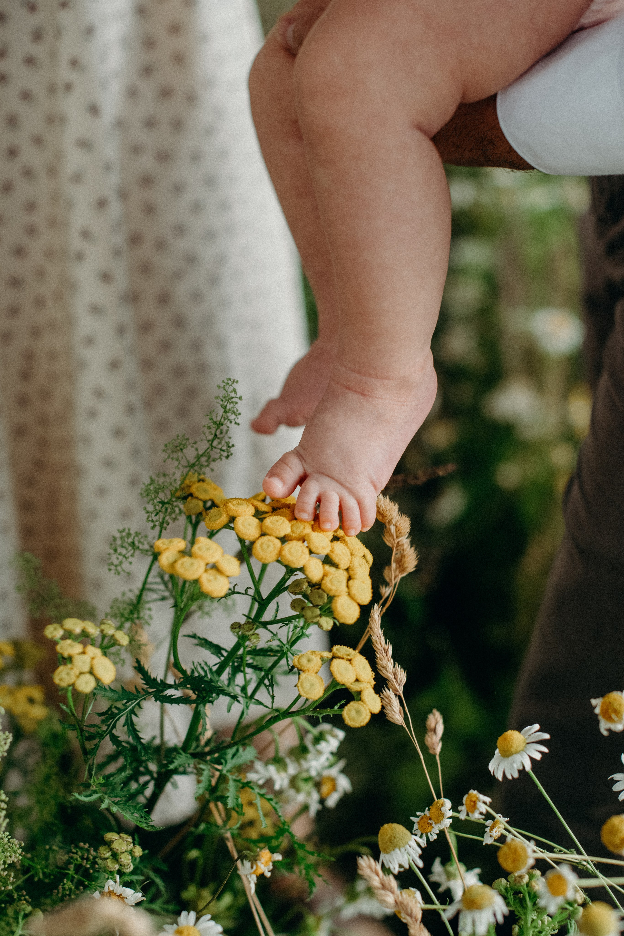 Сет-дизайн. Флористика и декор в Санкт-Петербурге