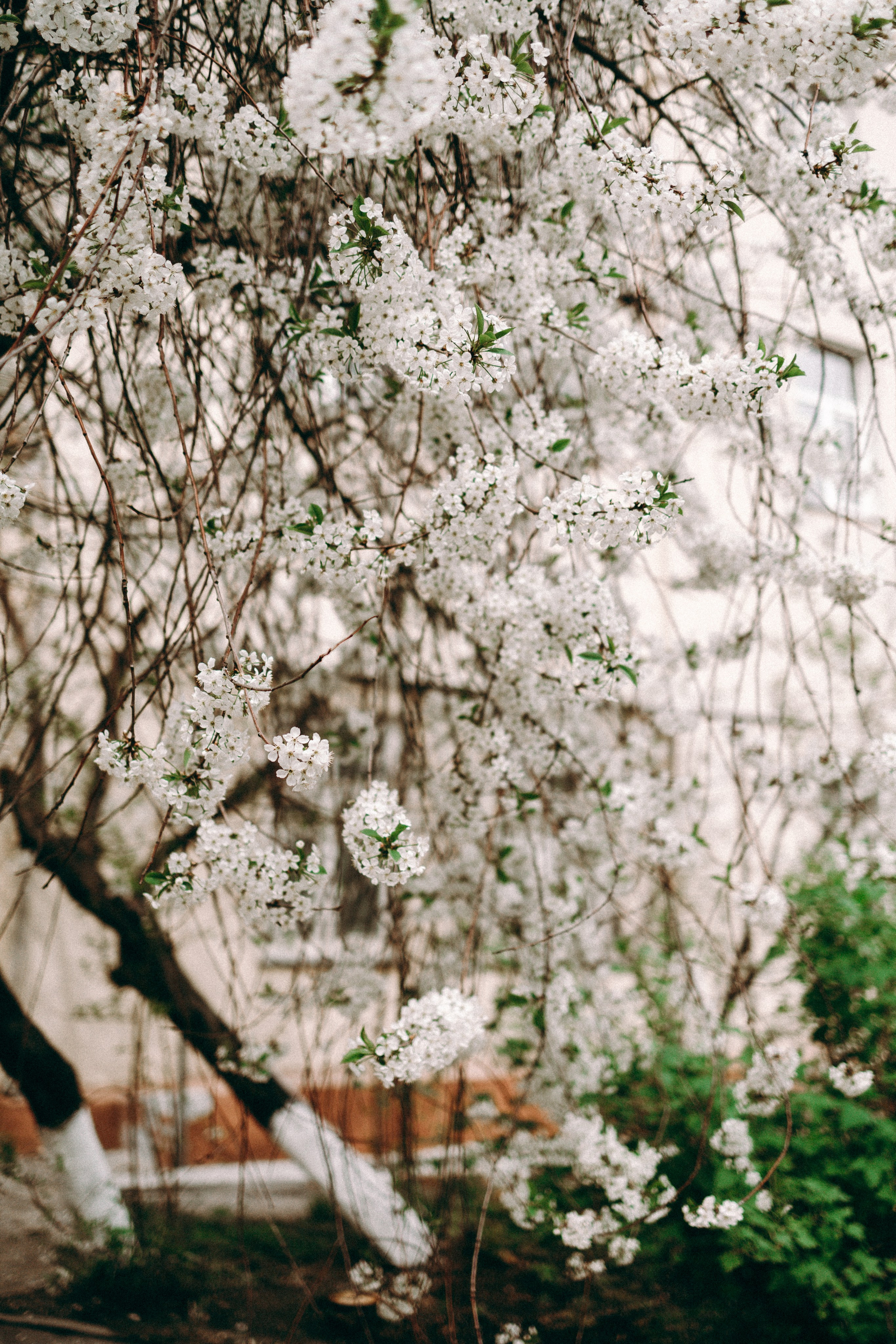 1+1=5. Фотограф Москва Светлана Кирюшина