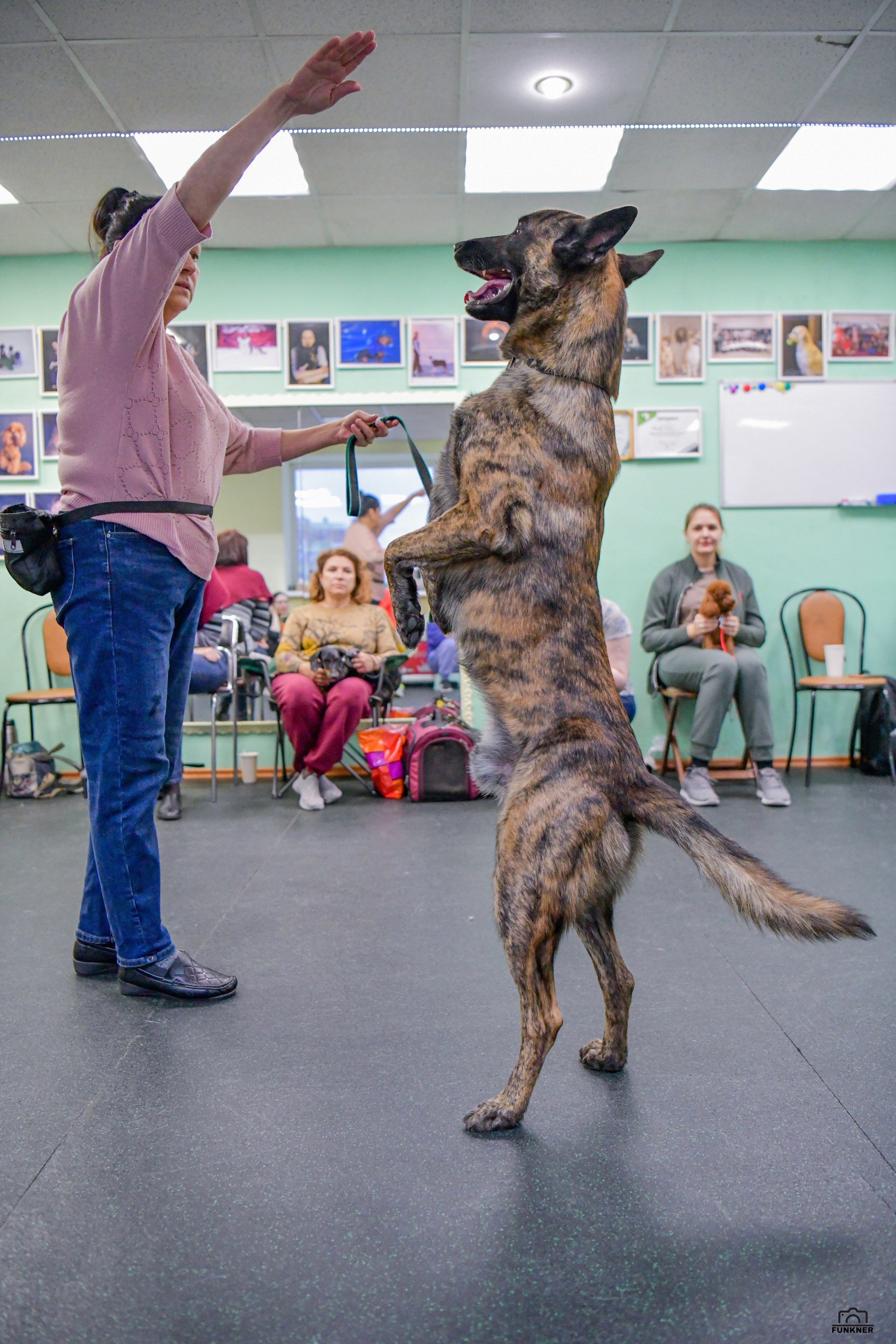 Кинологический клуб «Бодрый хвост». Свой взгляд через объектив