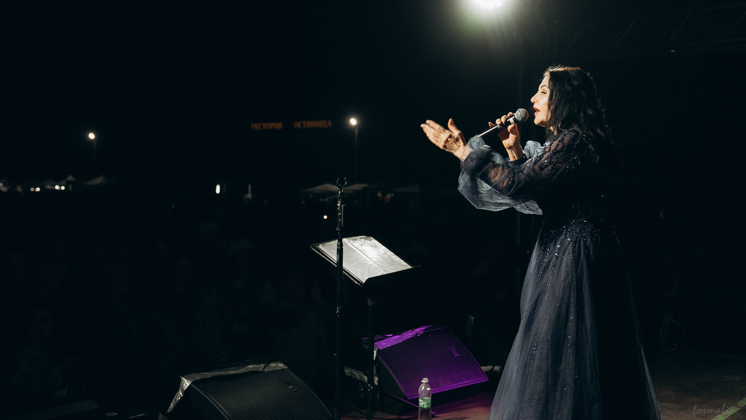 День Коня. Алиса Никитцова | Фотограф в Казани