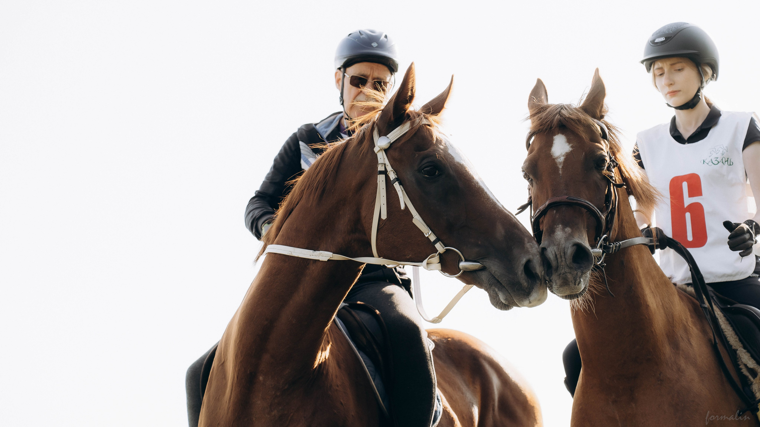 День Коня. Алиса Никитцова | Фотограф в Казани