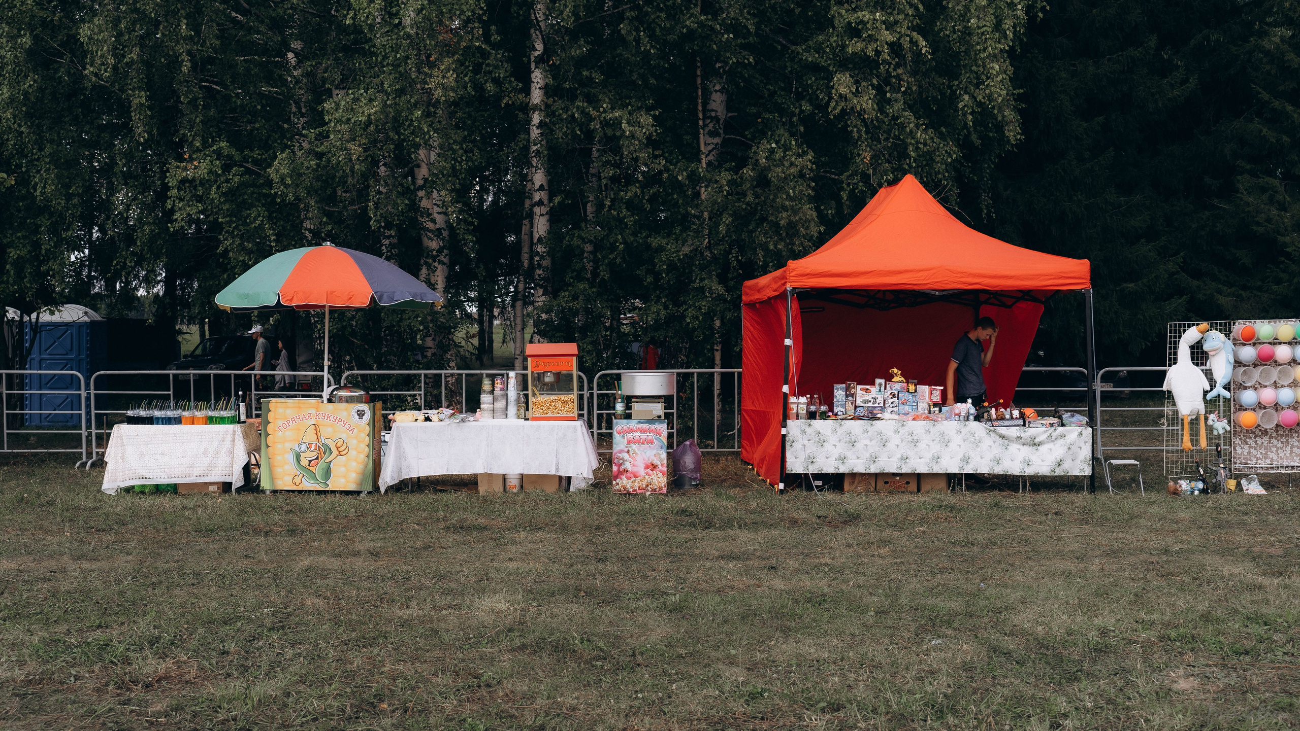 День Коня. Алиса Никитцова | Фотограф в Казани