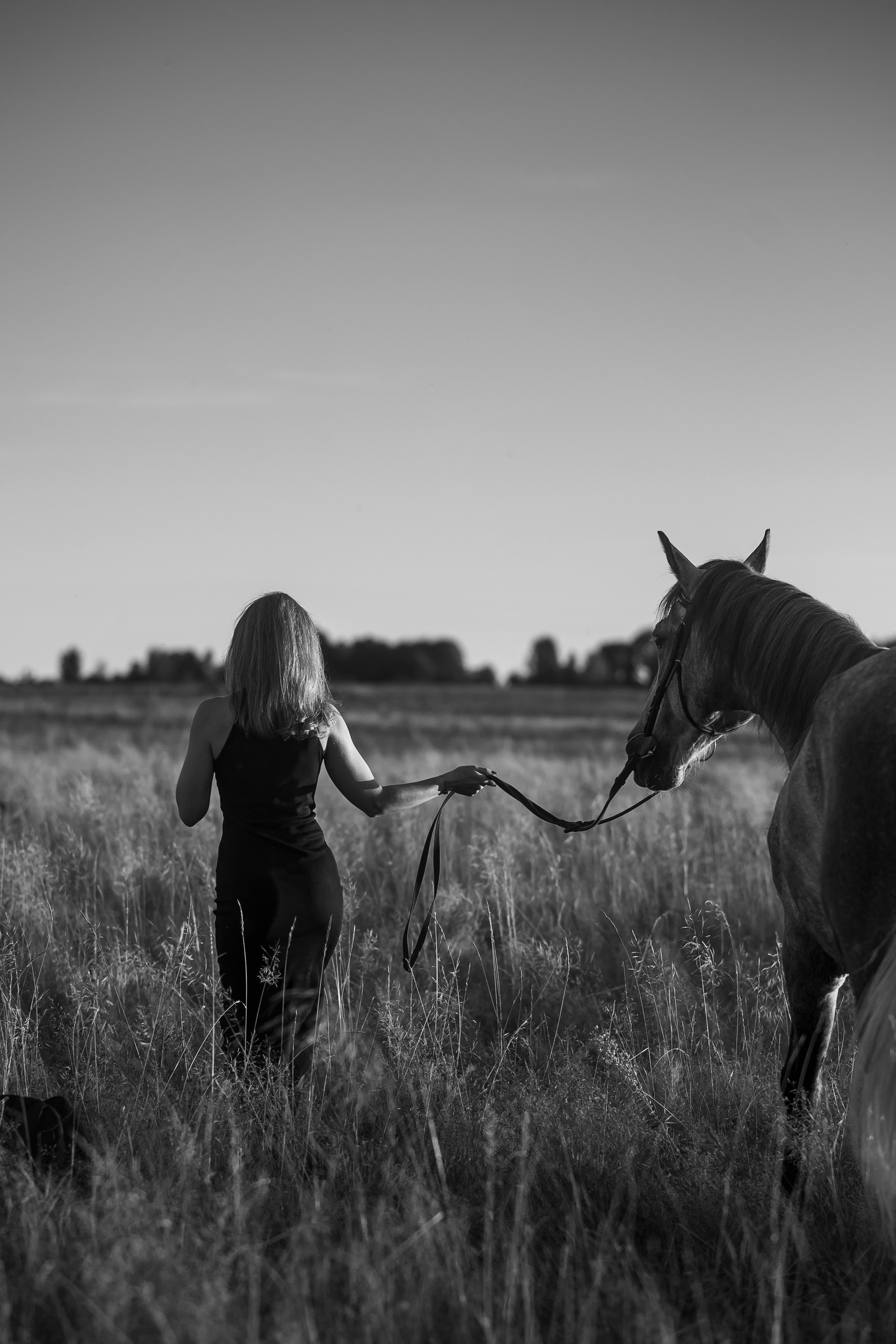 Аня и Дакар — 06.09.2024. Фотограф — Анималист | Анна Абрамова