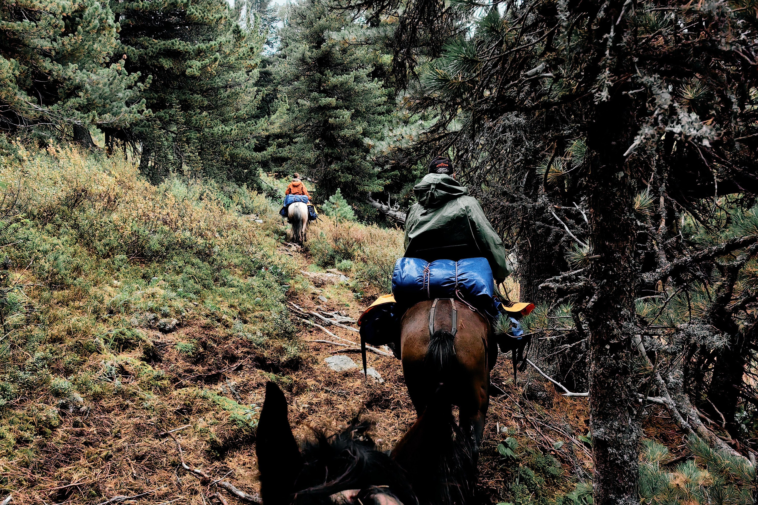 Алтай. Юрий Березнюк. Фотожурналистика