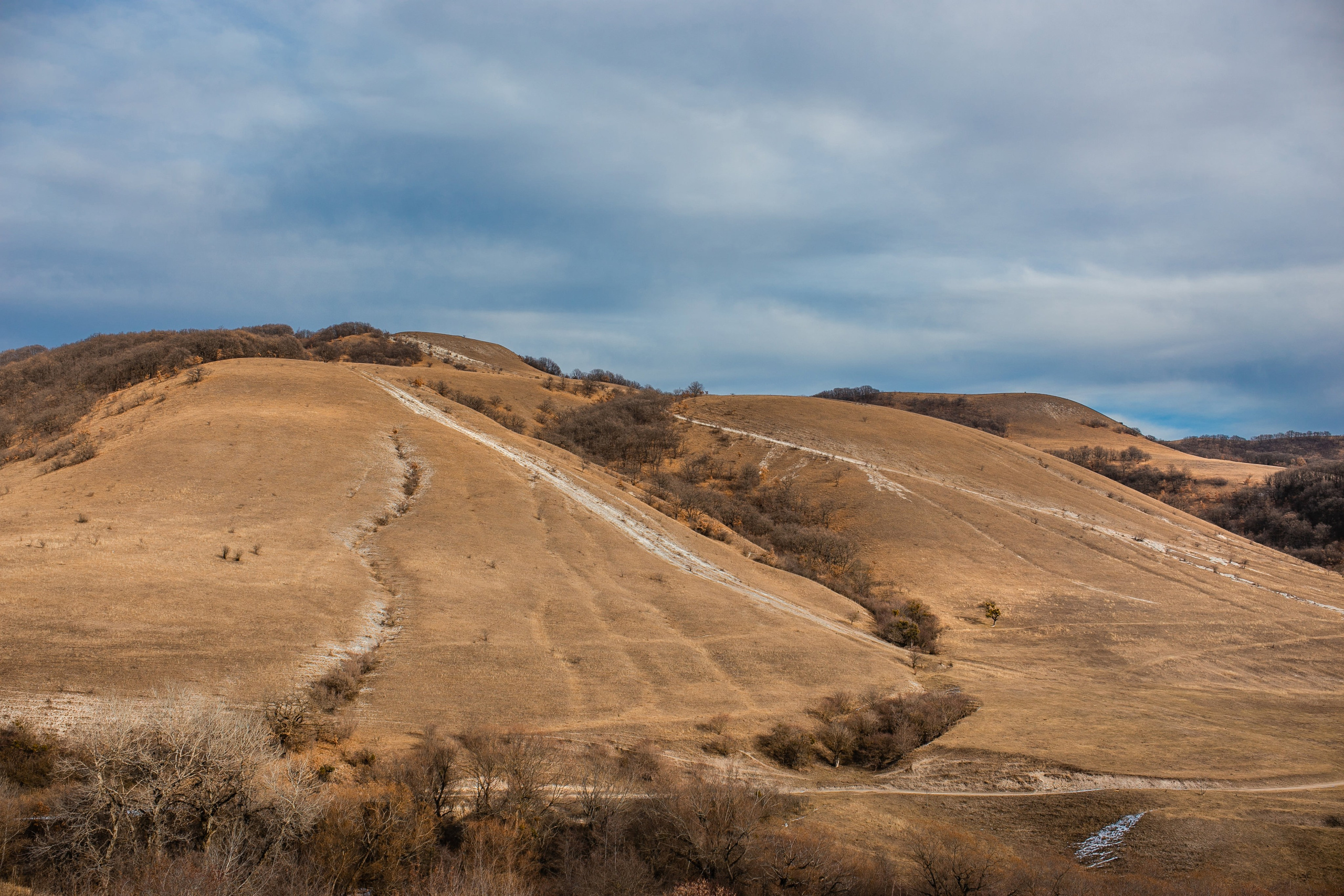 Фототуры в Карачаево-Черкессии 2019-2020. Фотограф-анималист Ксендзова Кристина