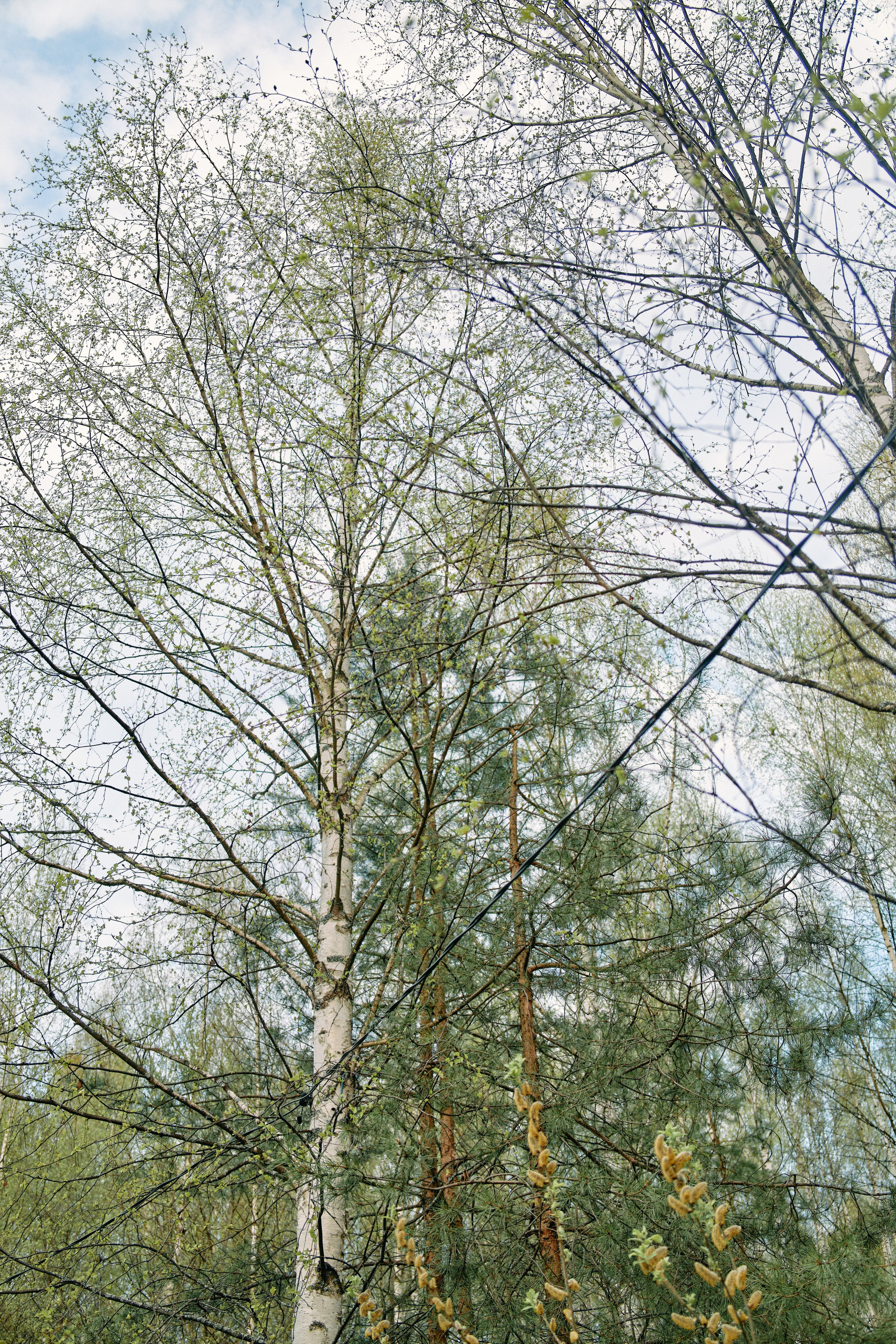 Бутик-отель Поле летом. Профессиональный Фотограф во Владимире, в Москве и в Суздале — Полина Романычева