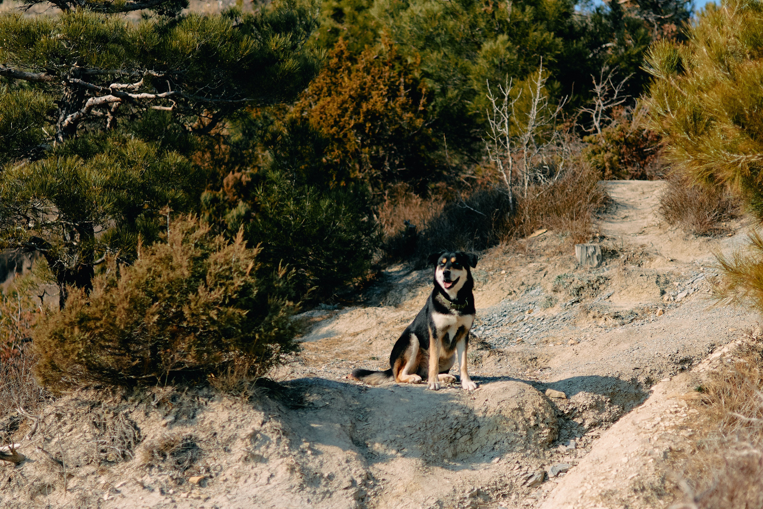 Юг России. Профессиональный Фотограф во Владимире, в Москве и в Суздале — Полина Романычева
