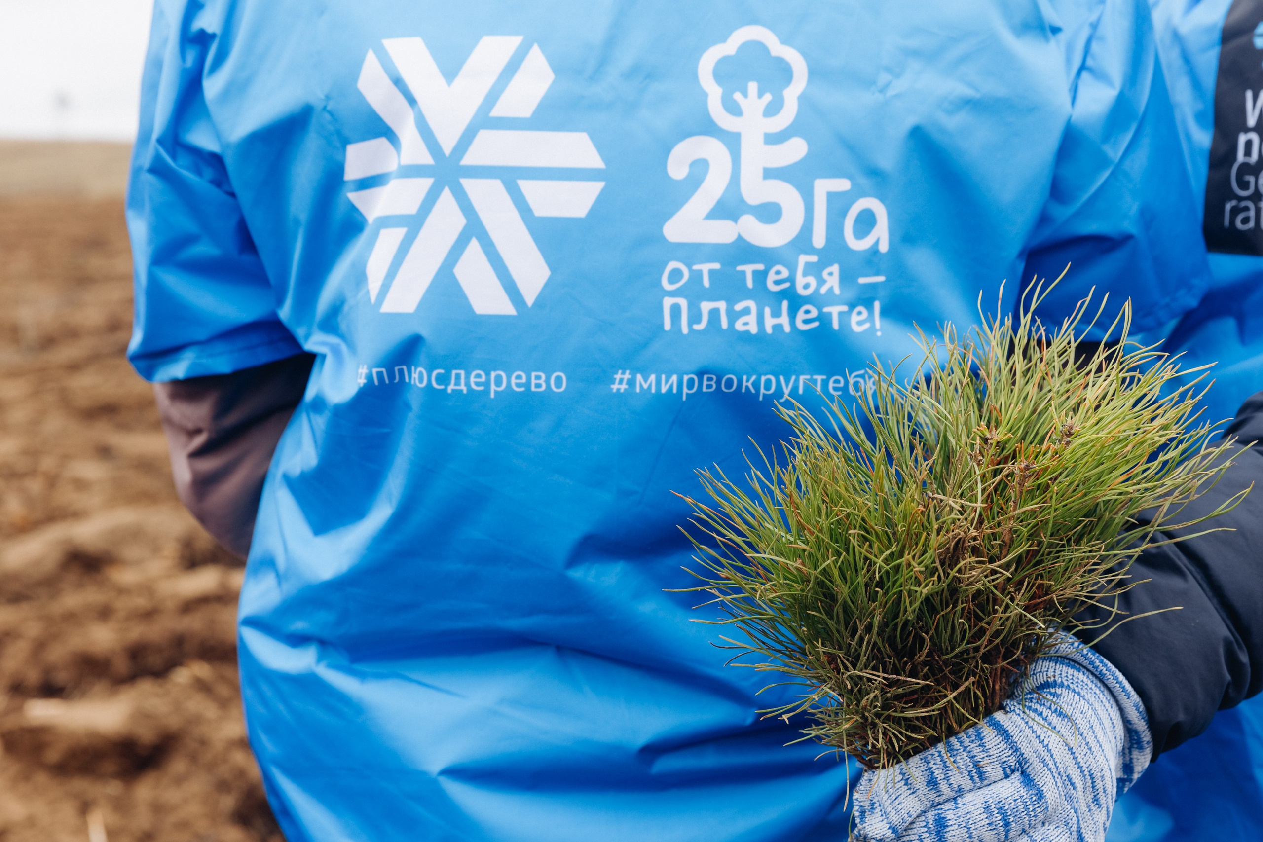 Siberian wellness. Ежегодная акция по посадке деревьев. Свадебный и семейный фотограф в Улан-Удэ