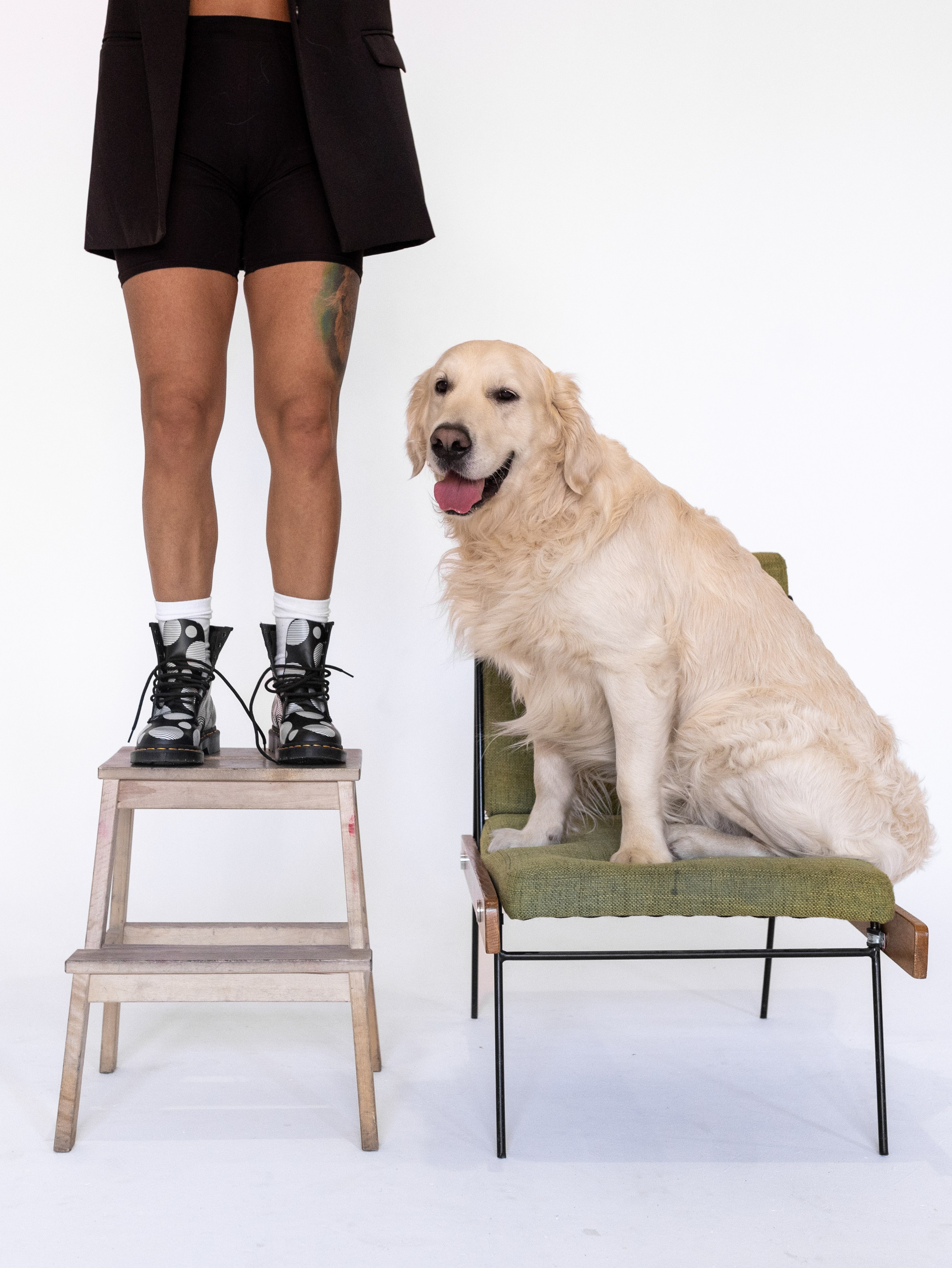 Энди и Настя. Фотограф-анималист в Москве Кириллова Татьяна