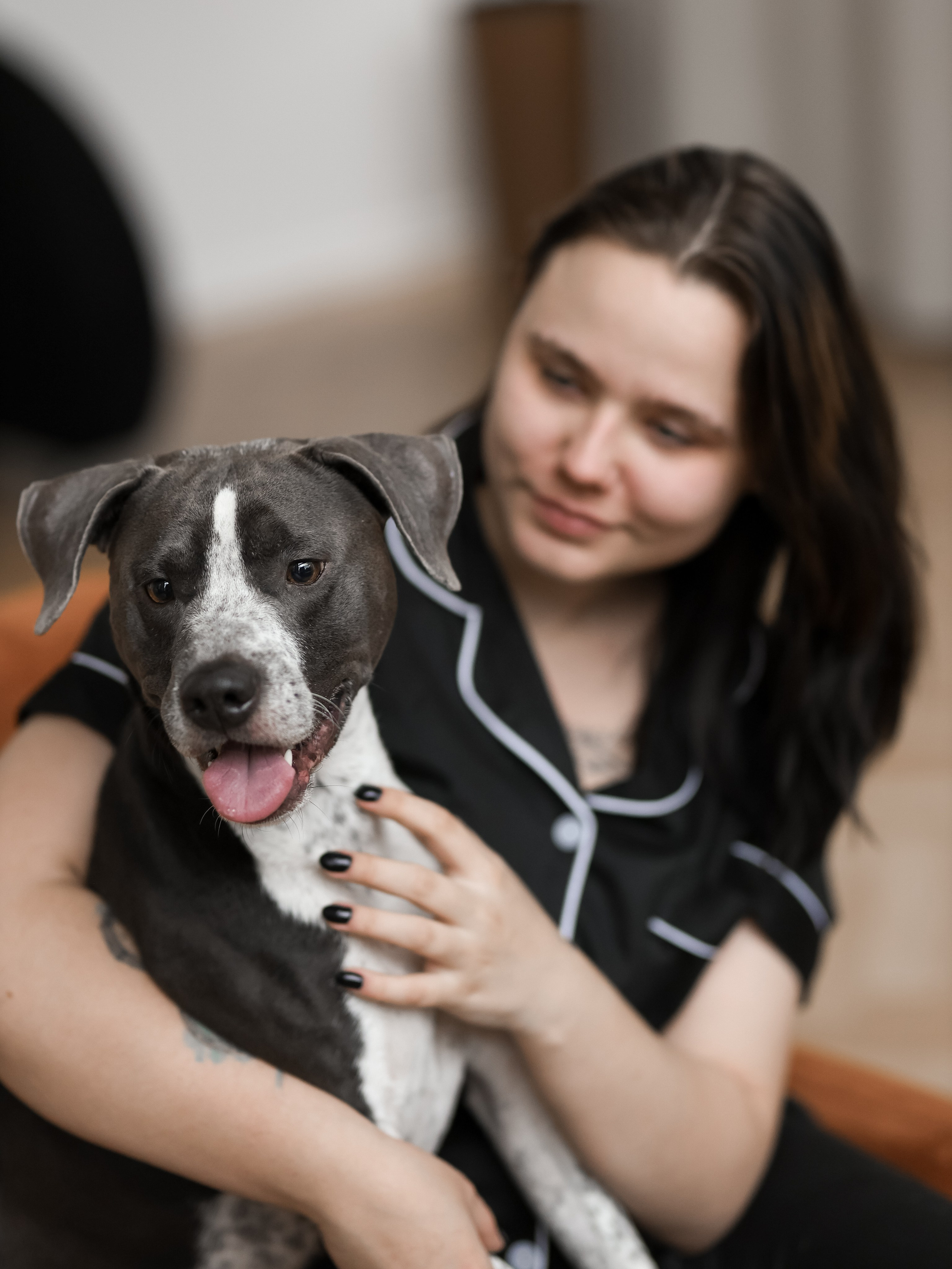 Тортик Даша и Никита. Фотограф-анималист в Москве Кириллова Татьяна