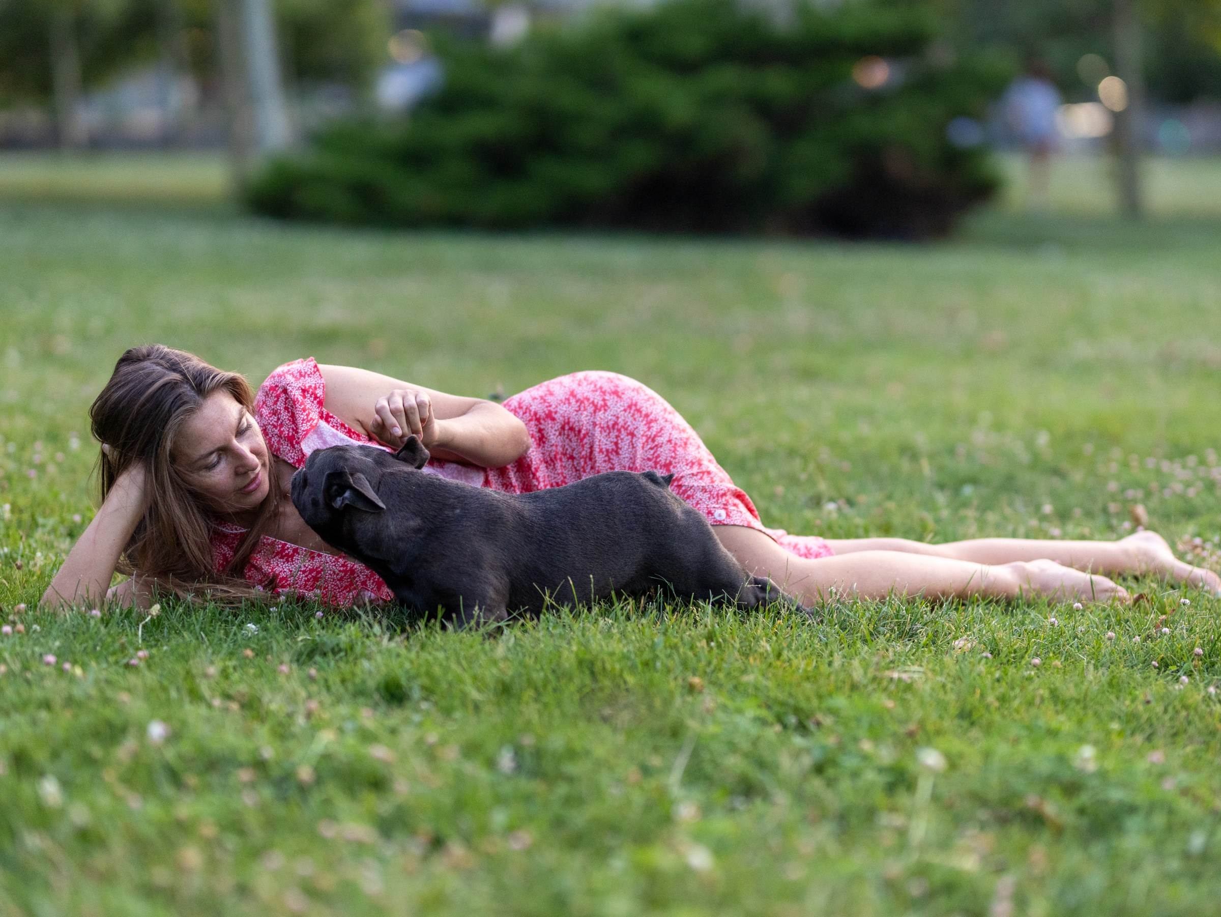 Сладкое лето. Фотограф-анималист в Москве Кириллова Татьяна