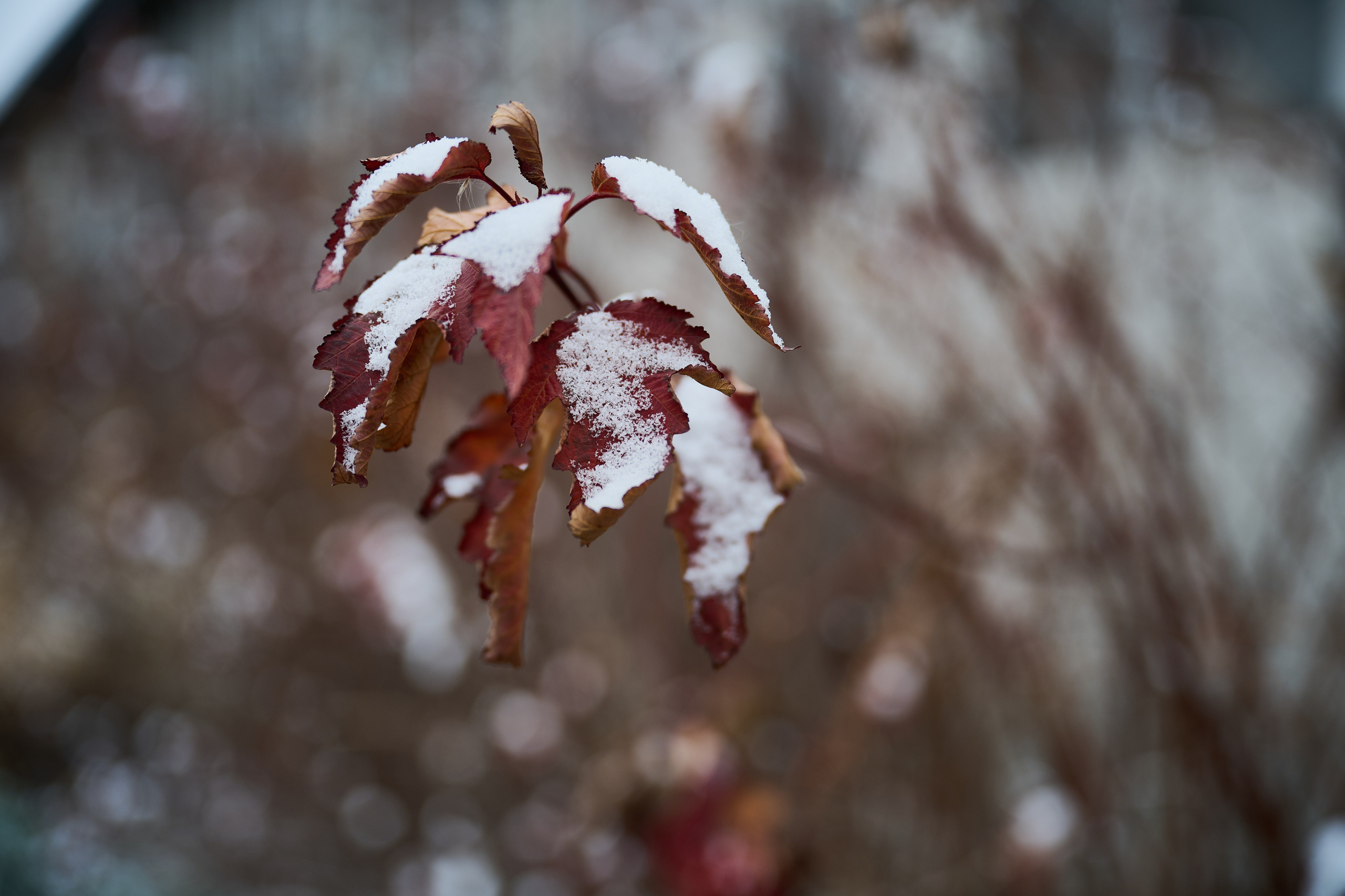 Северодонецк. Луганская область. Фотопроект «Территории»