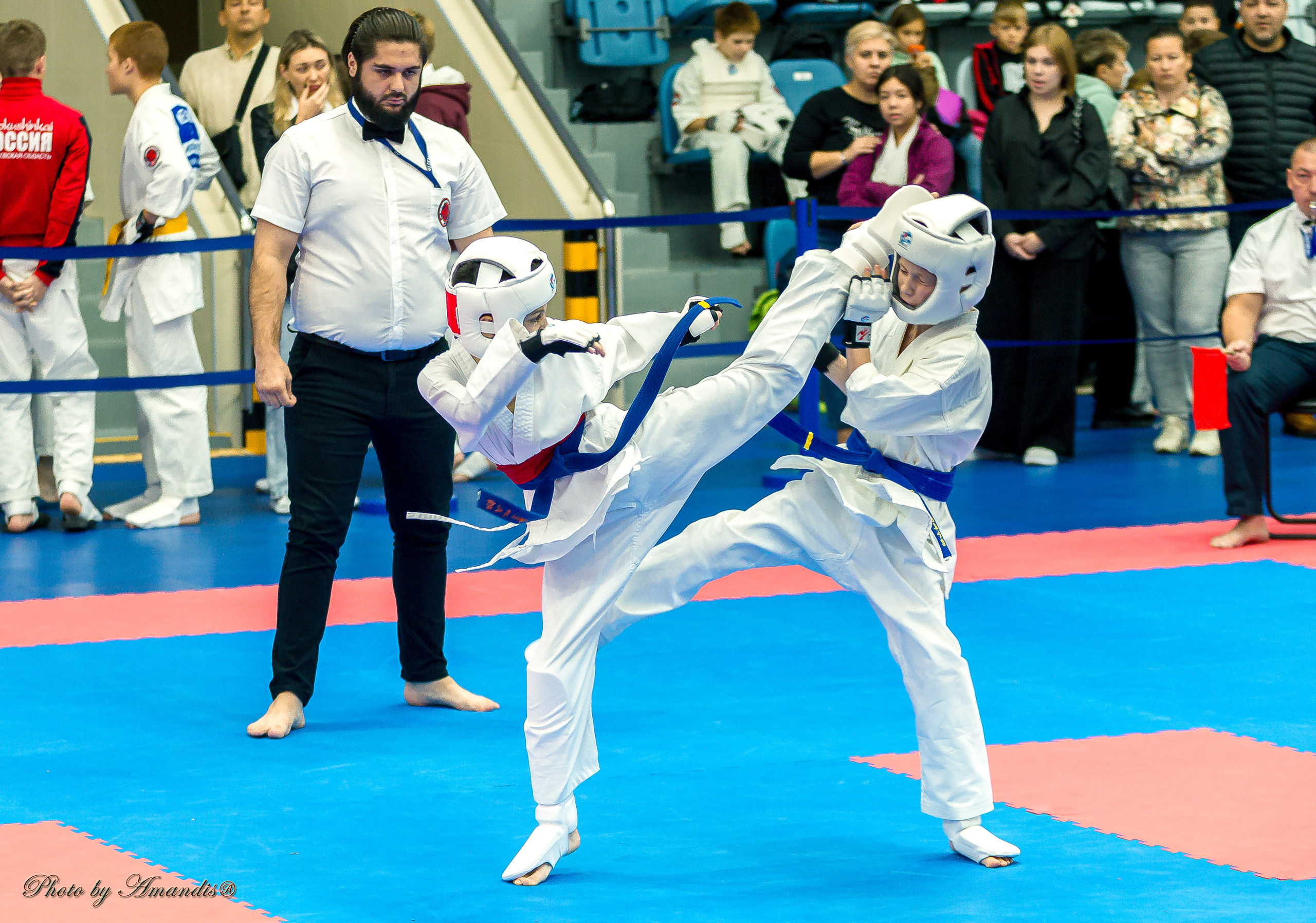 Чемпионат по Киокушинкай Центрального Федерального округа. Репортажная съемка в Москве и области. Анималистика