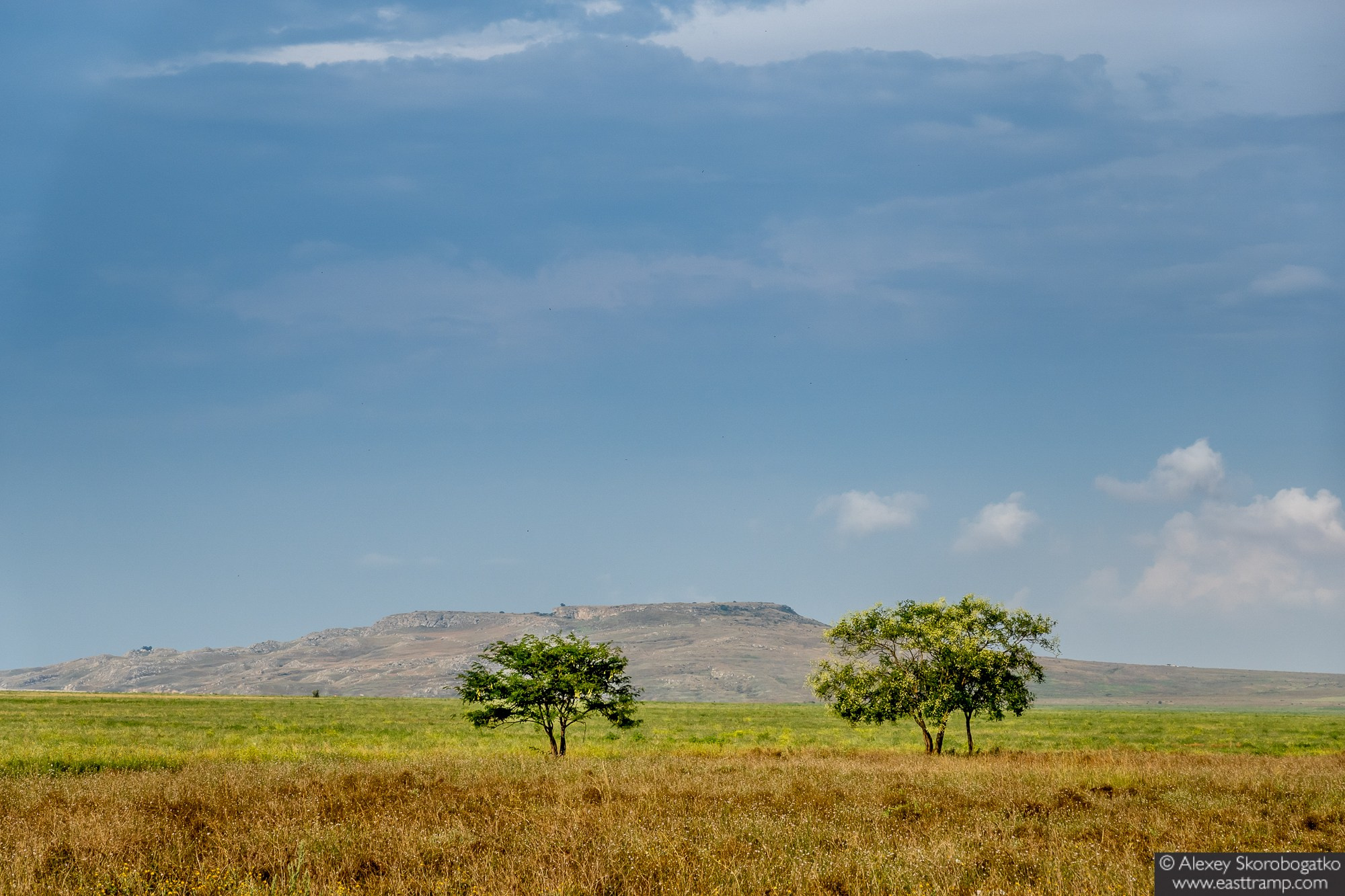 Археологические раскопки некрополя Кыз-Аул в Крыму. Фотограф Алексей Скоробогатько