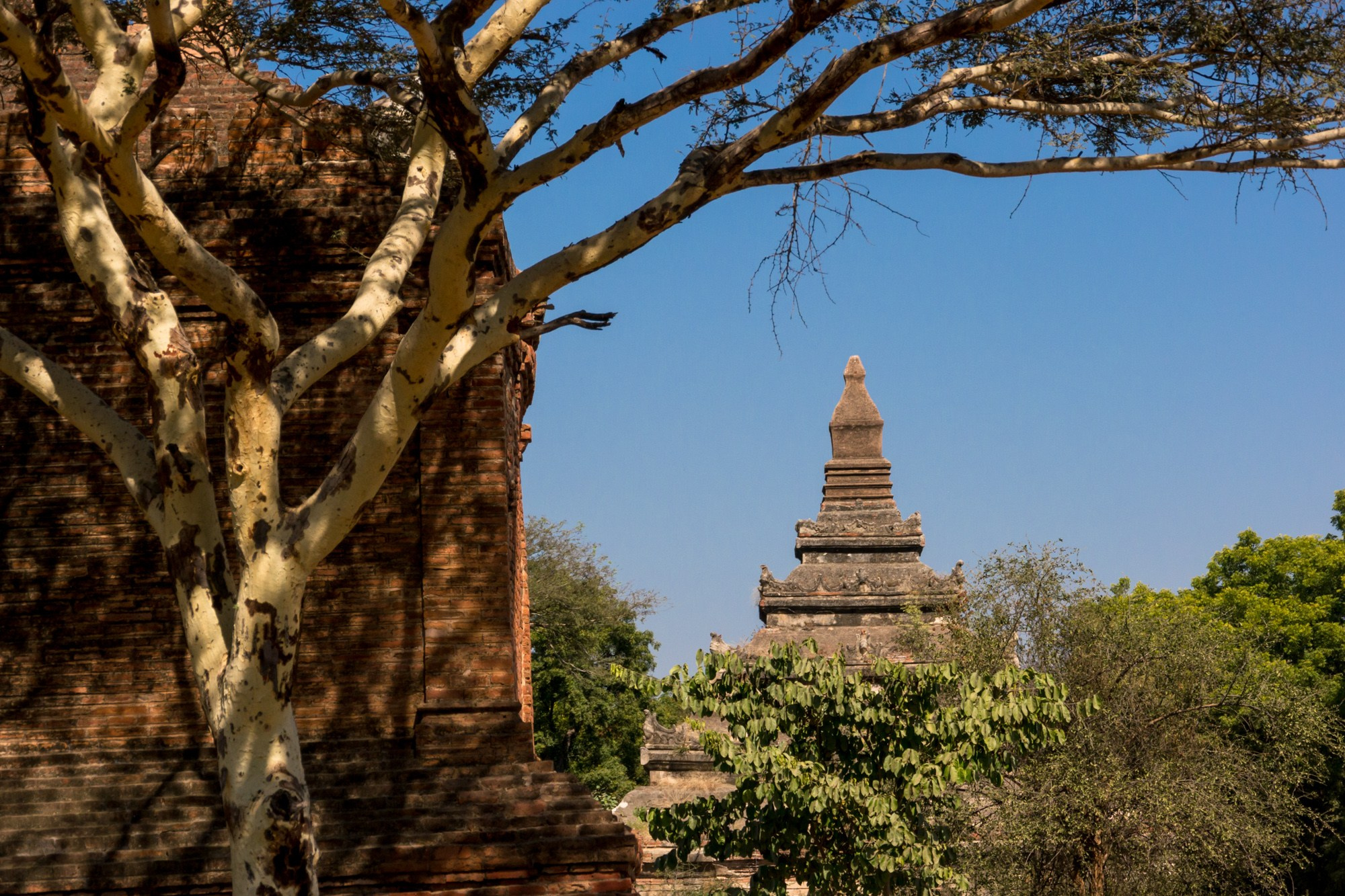 Мьянма, пешком по стране. Фотограф Алексей Скоробогатько