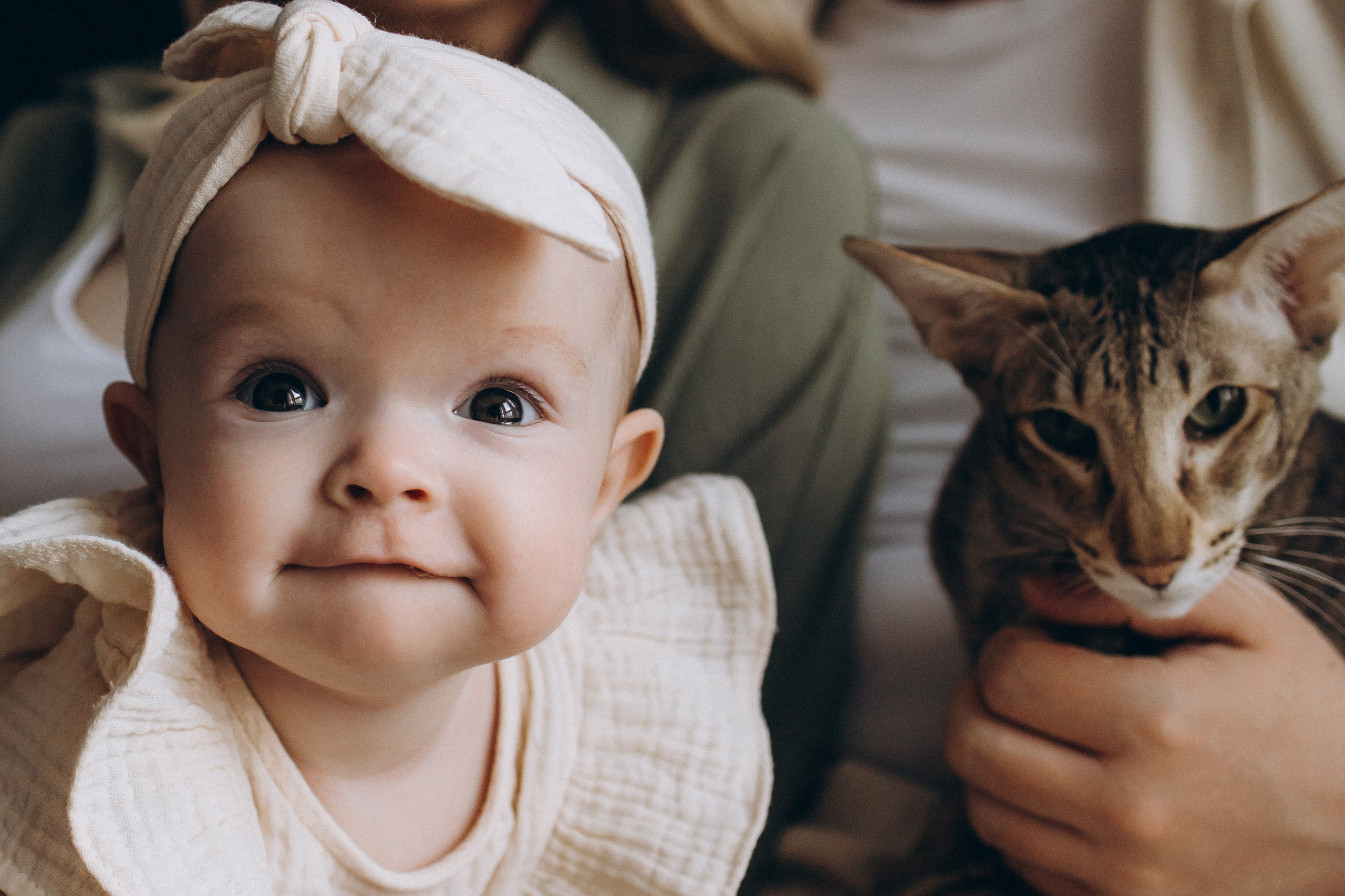 Уютная домашняя съемка с малышкой и котиком. Семейный фотограф в Москве, Щелково, Фрязино _ Виктория Степанова