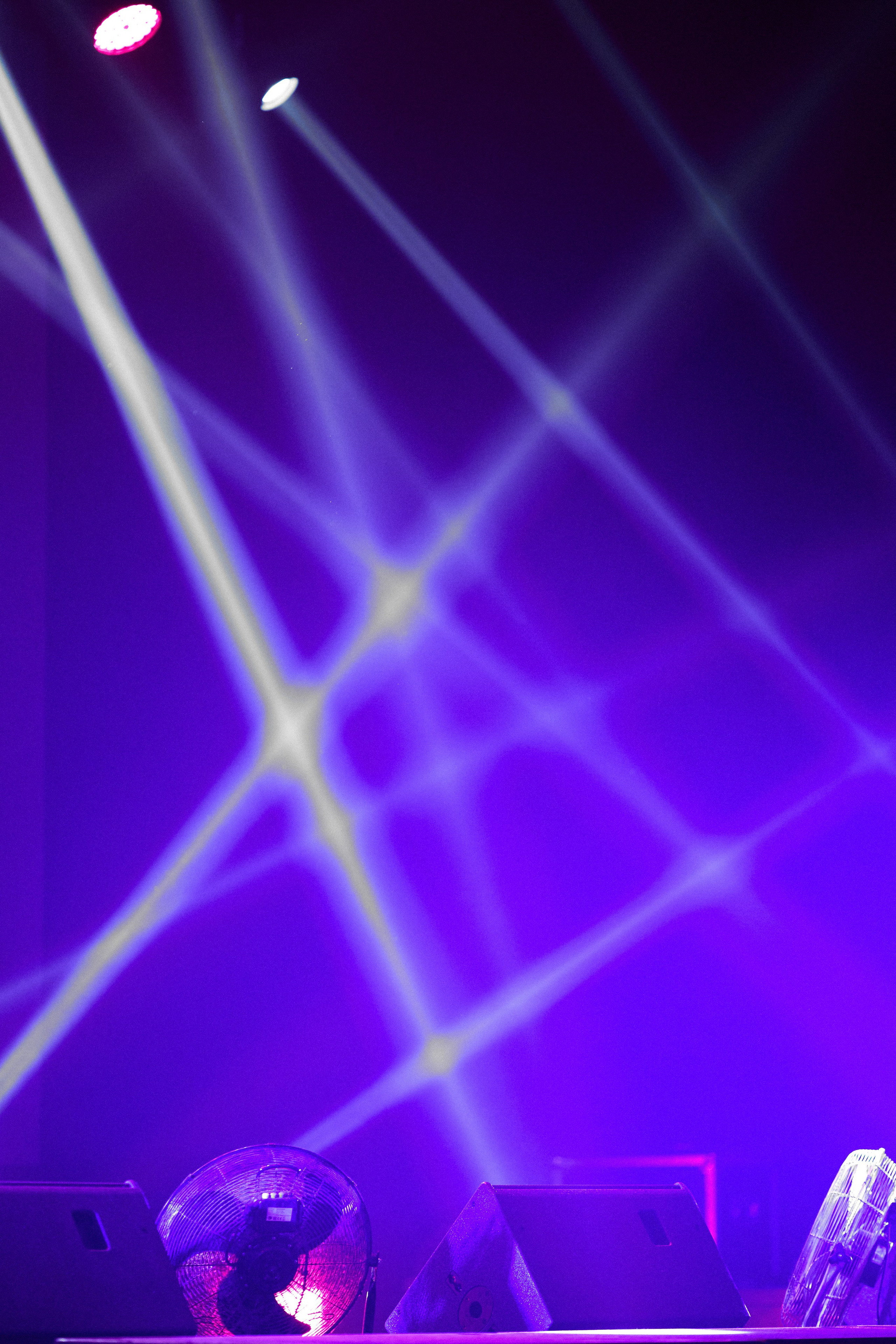 КОЧКА. Фотограф Айвазова Наталья Краснодар