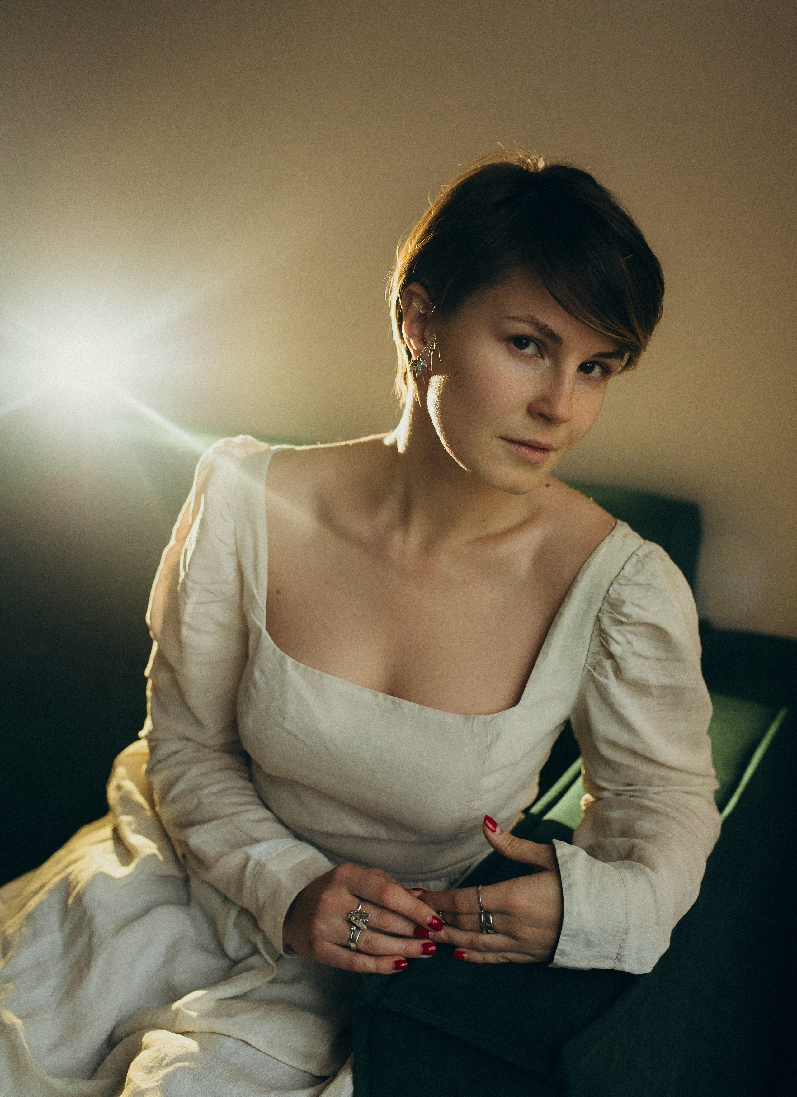 Домашняя история. Meryfotoidea