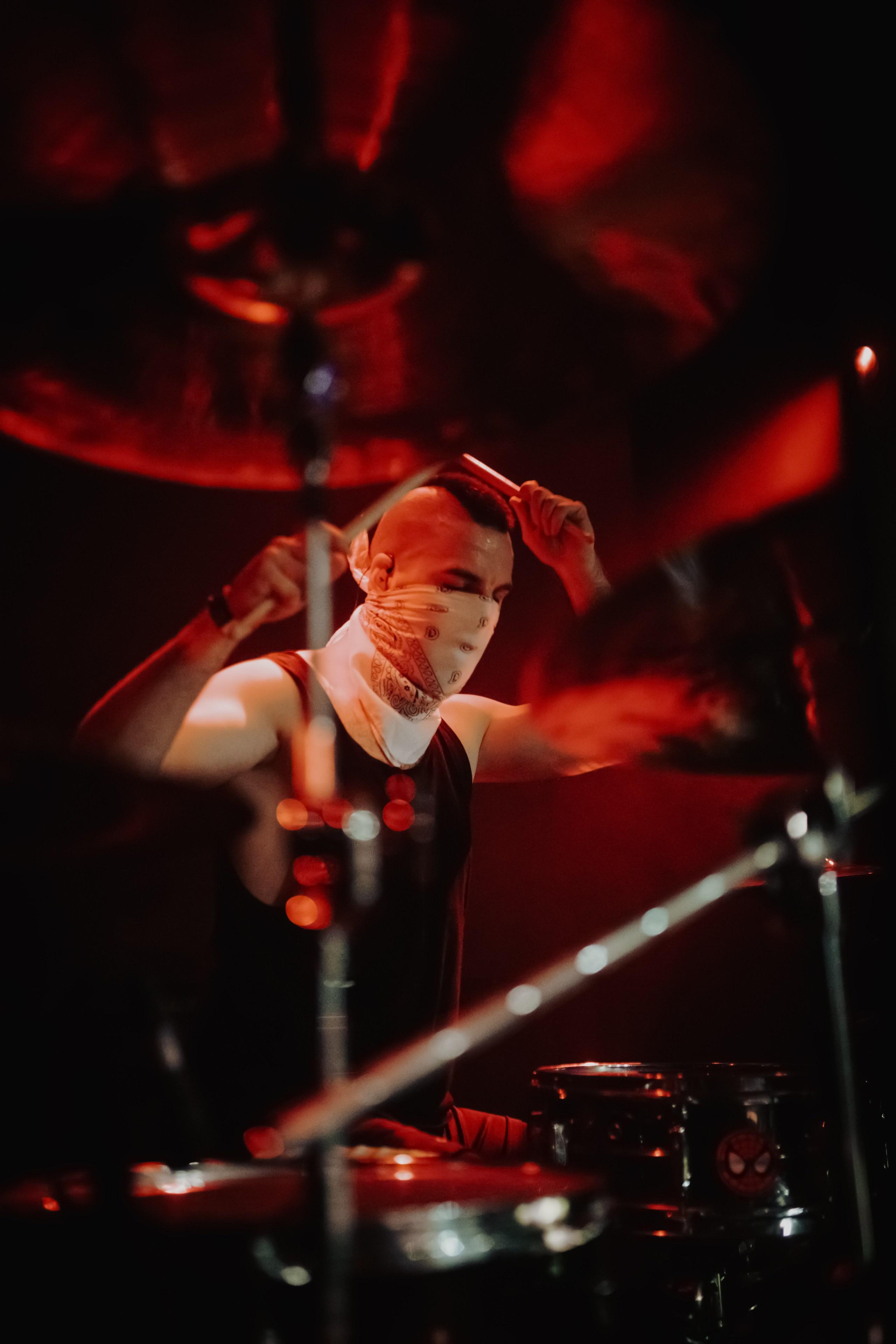 THE KAT IS DEAD. Фотограф Елена Богачева (lenalena_na_na_na)