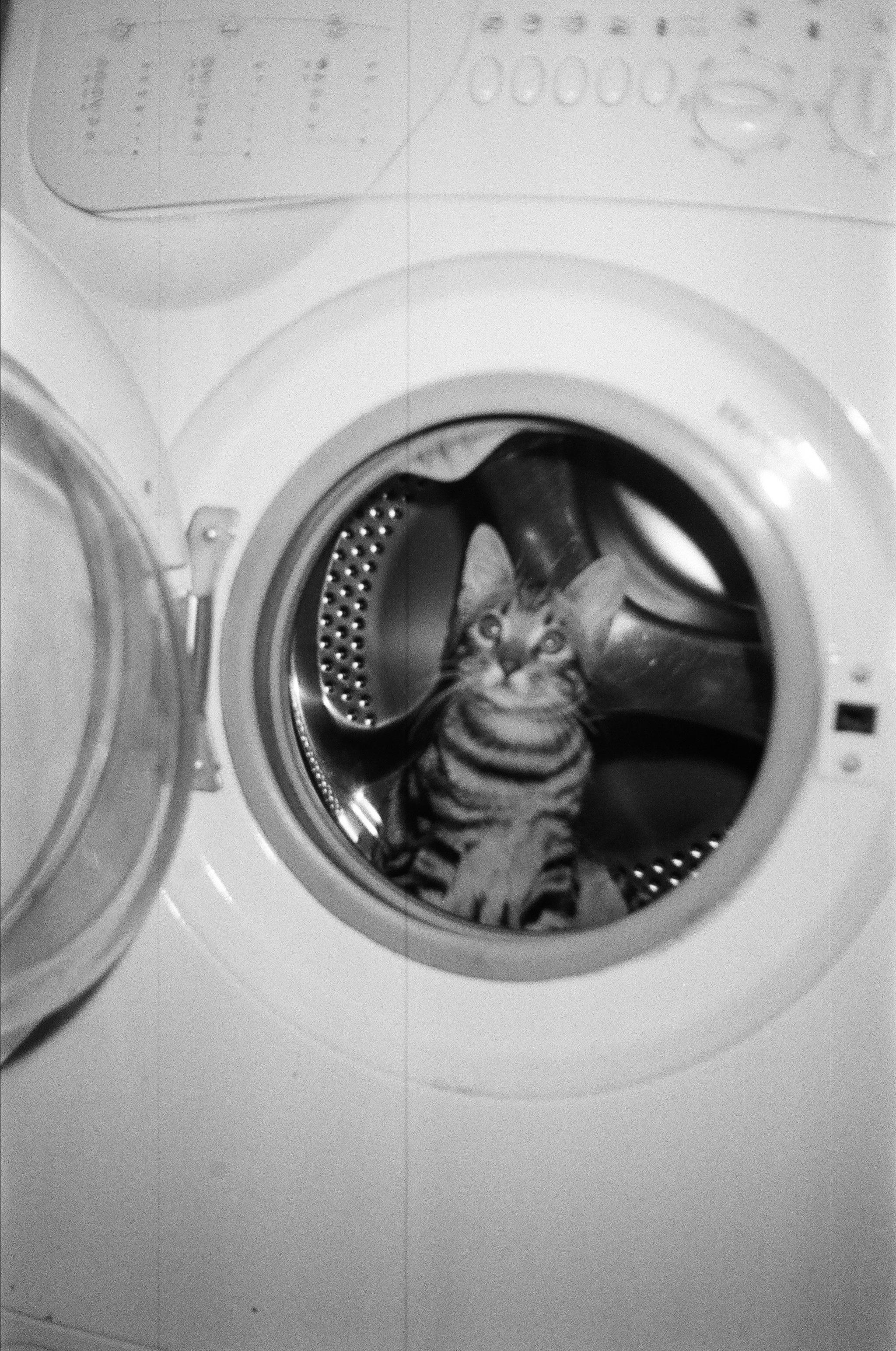 ANIMALS. SMM-продвижение и контент в Санкт-Петербурге (СПб)