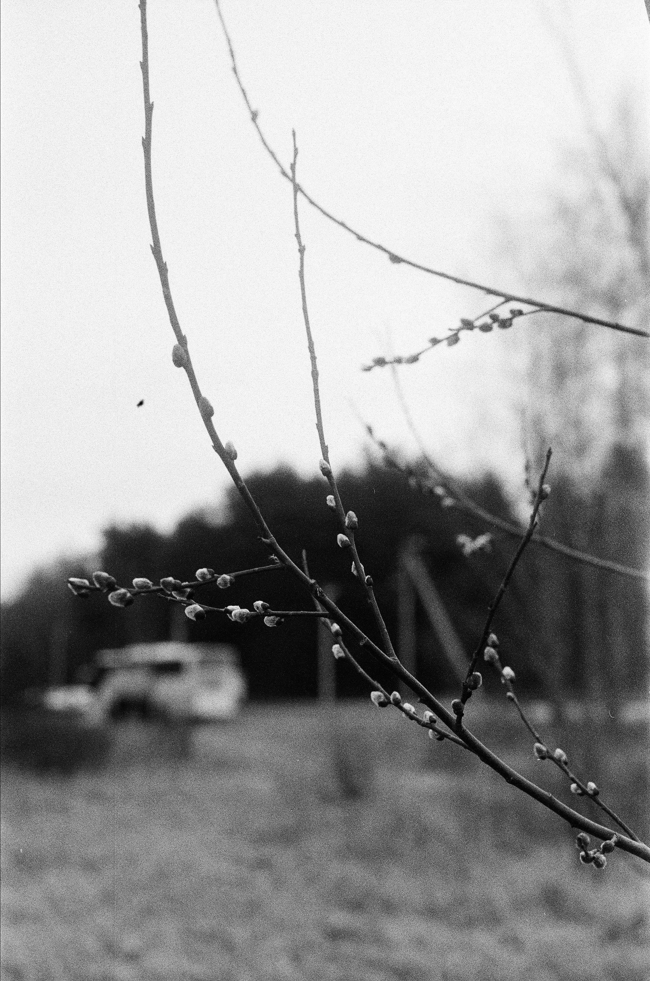 NATURE. SMM-продвижение и контент в Санкт-Петербурге (СПб)