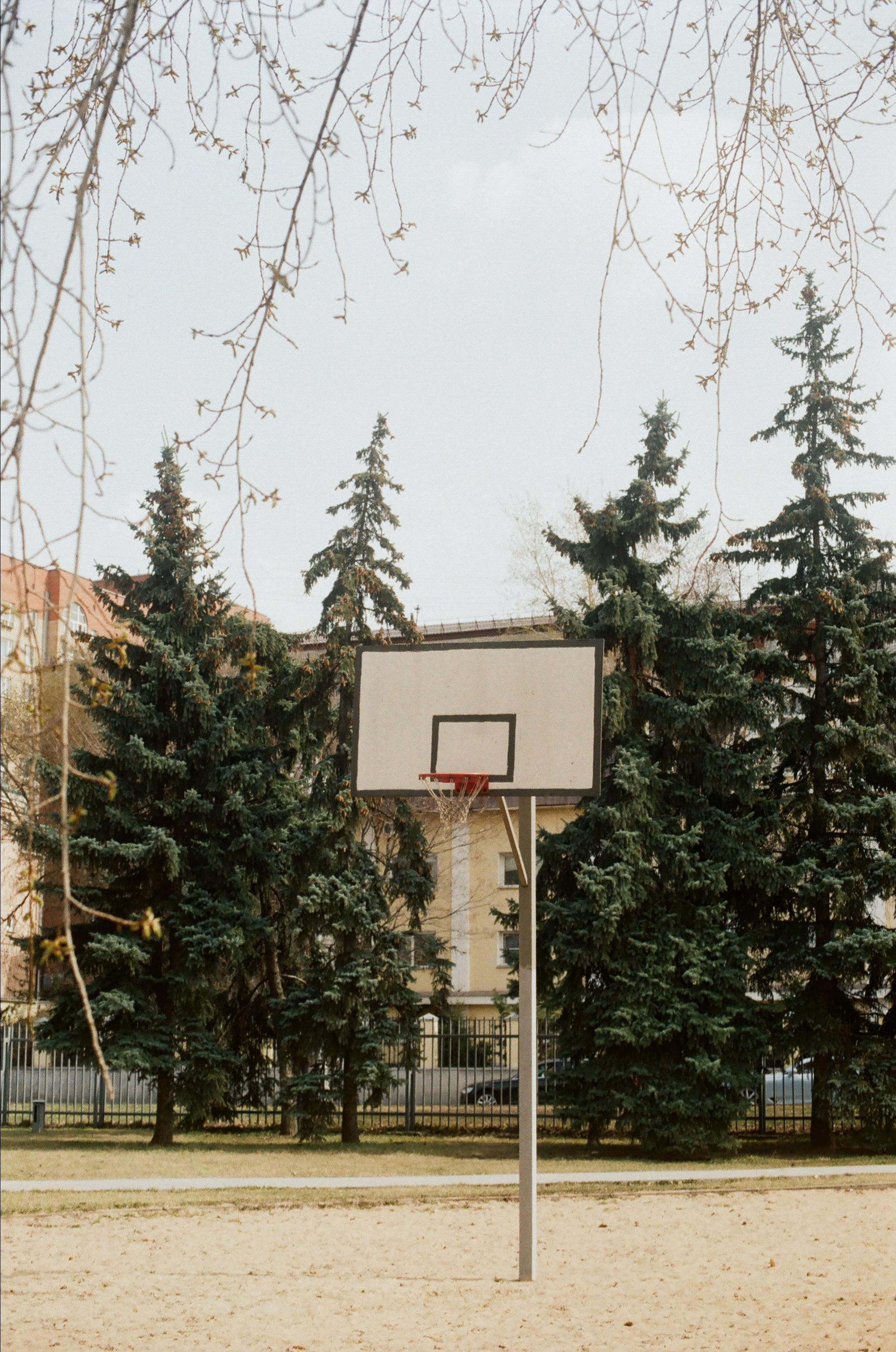 NATURE. SMM-продвижение и контент в Санкт-Петербурге (СПб)