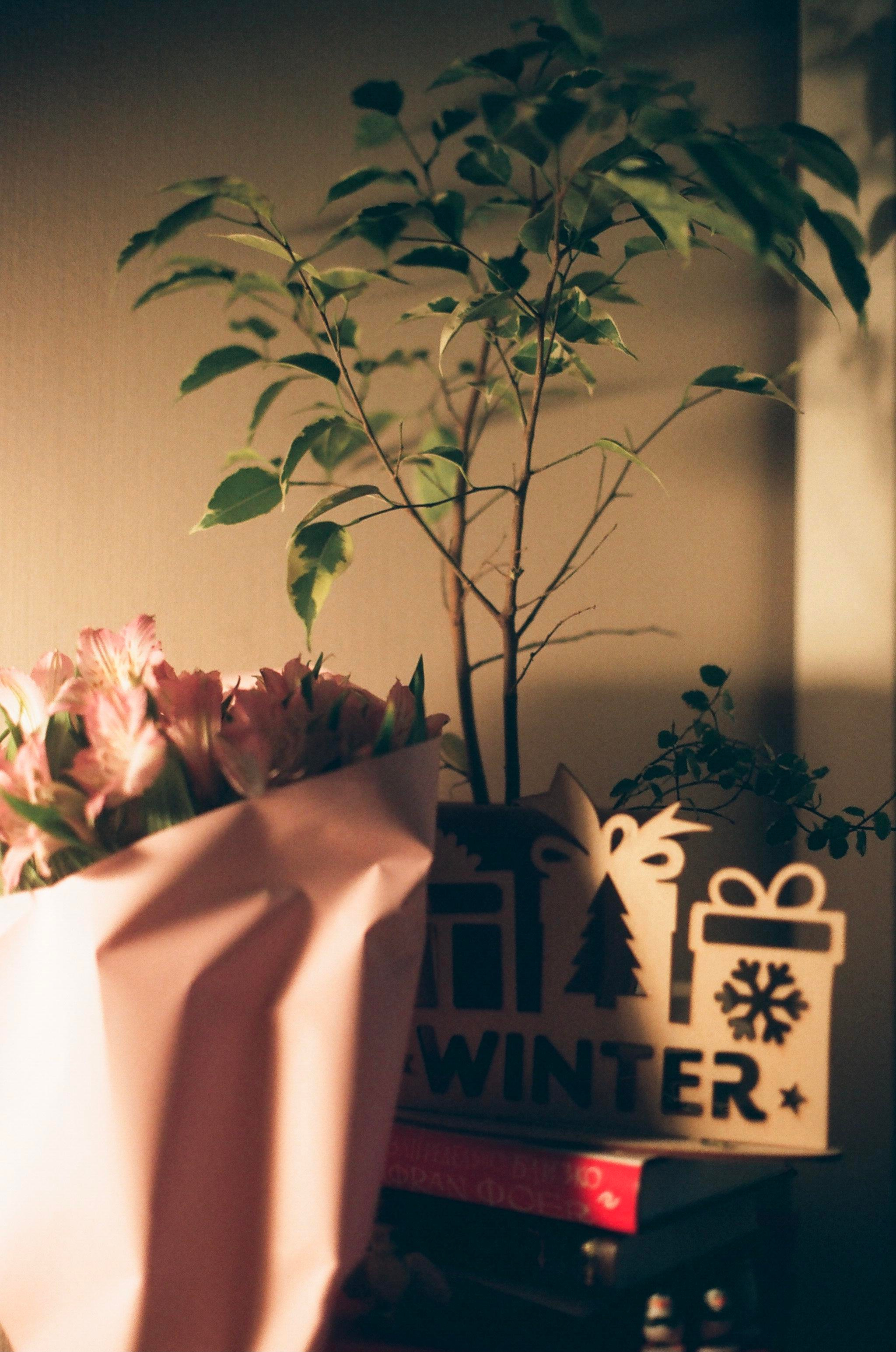 DETAILS. SMM-продвижение и контент в Санкт-Петербурге (СПб)