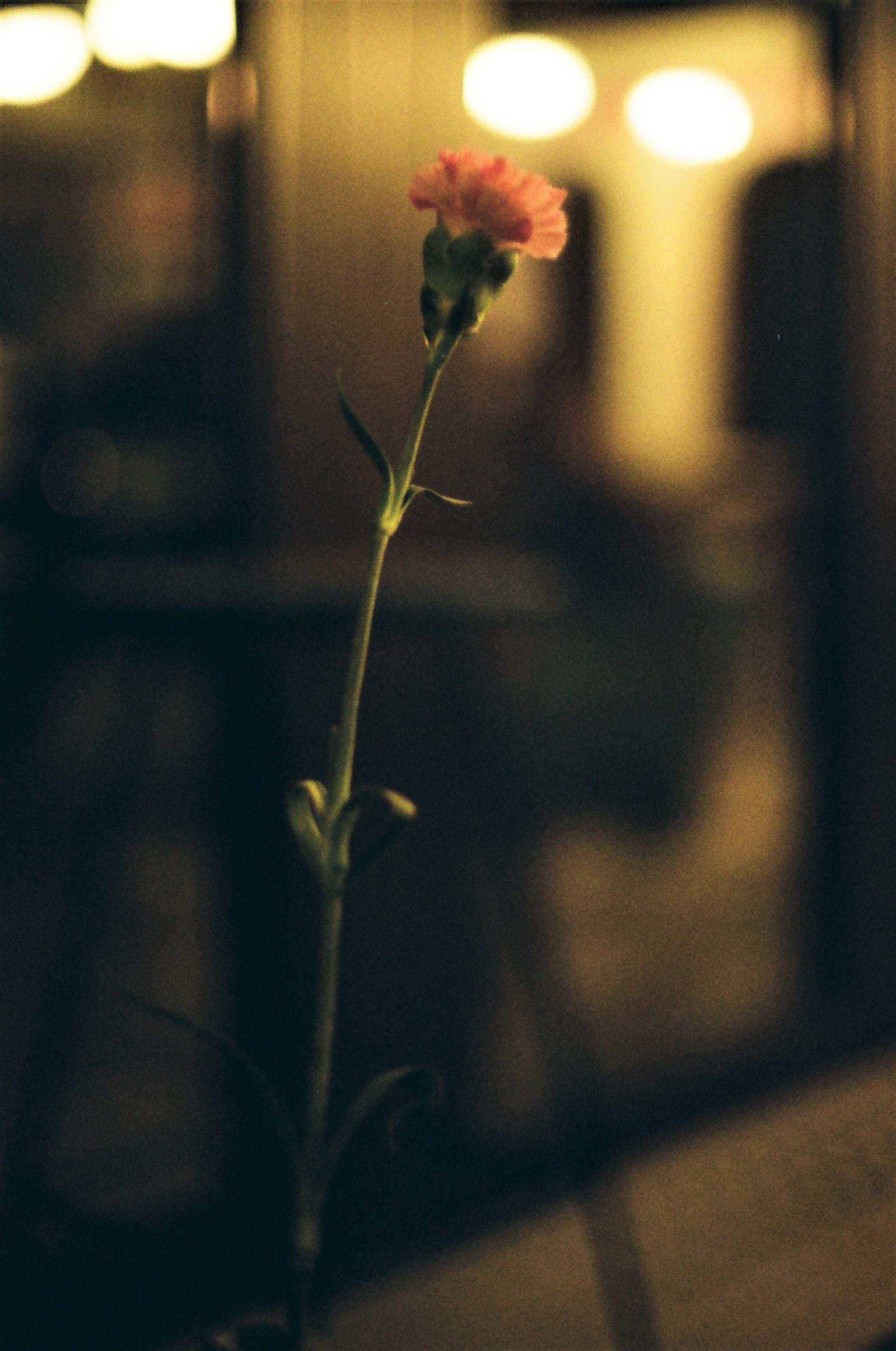 DETAILS. SMM-продвижение и контент в Санкт-Петербурге (СПб)