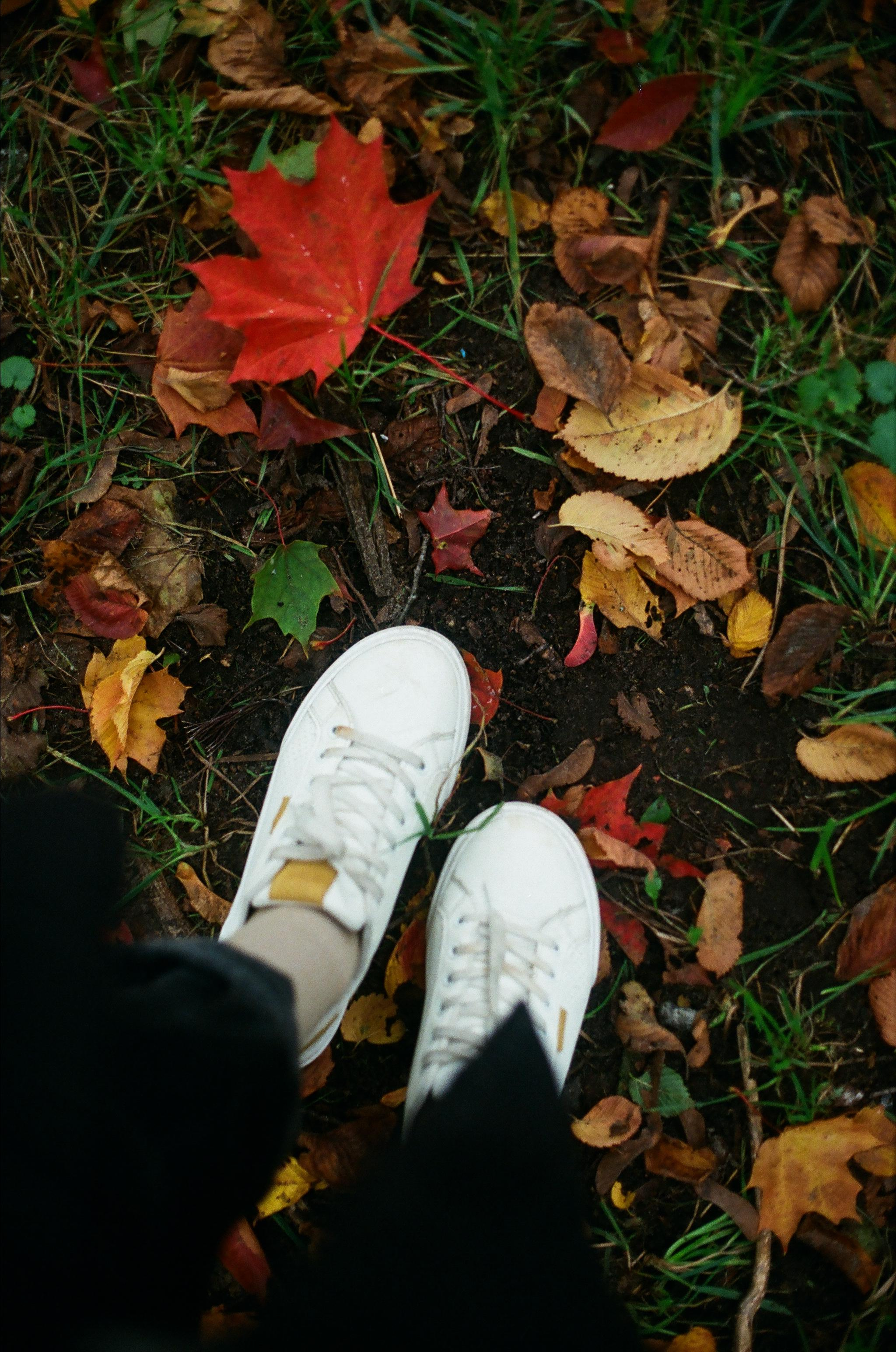 NATURE. SMM-продвижение и контент в Санкт-Петербурге (СПб)