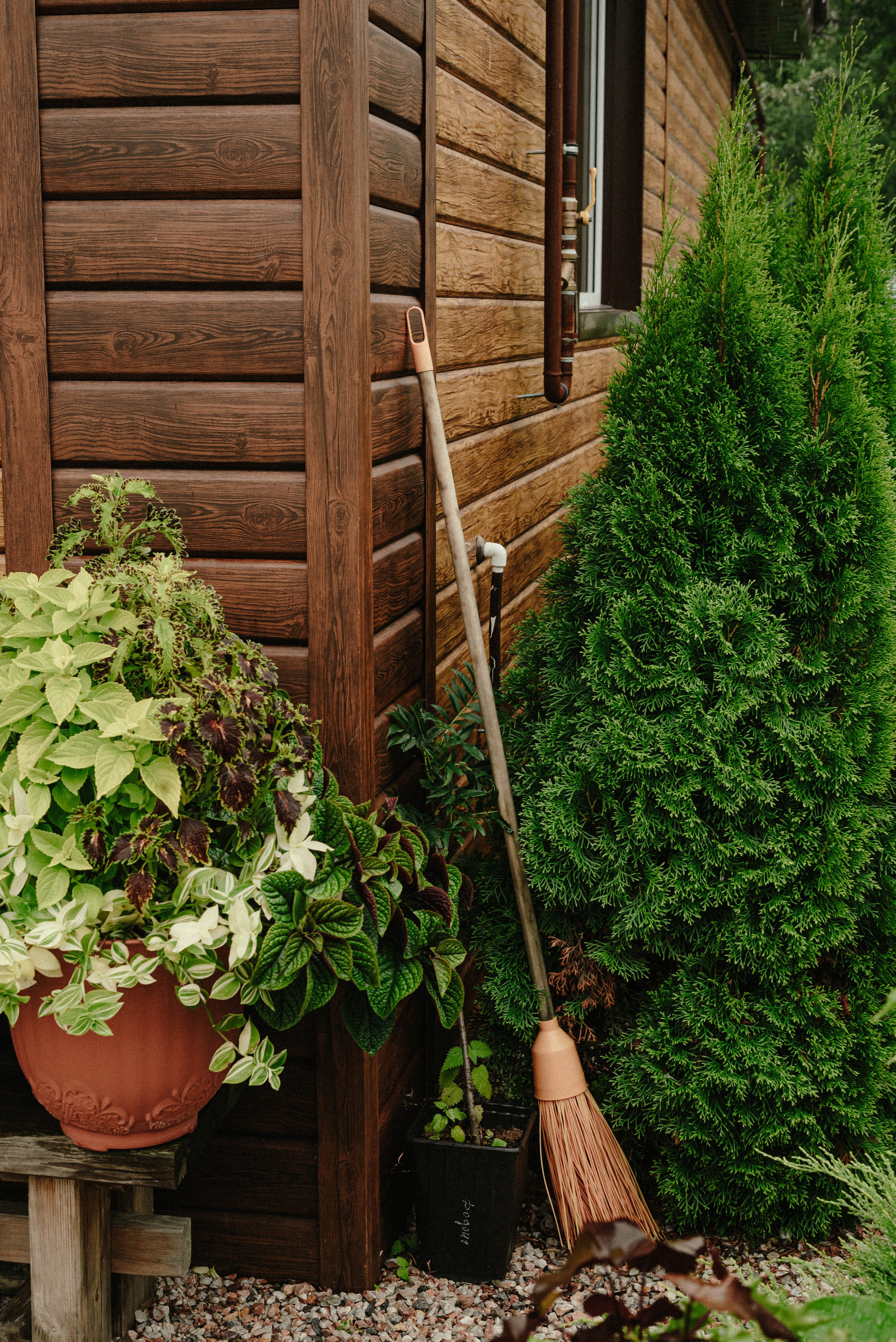 Лесное царство Оксаны. Свадебный и семейный фотограф в Новосибирске, Санкт-Петербурге, Москве