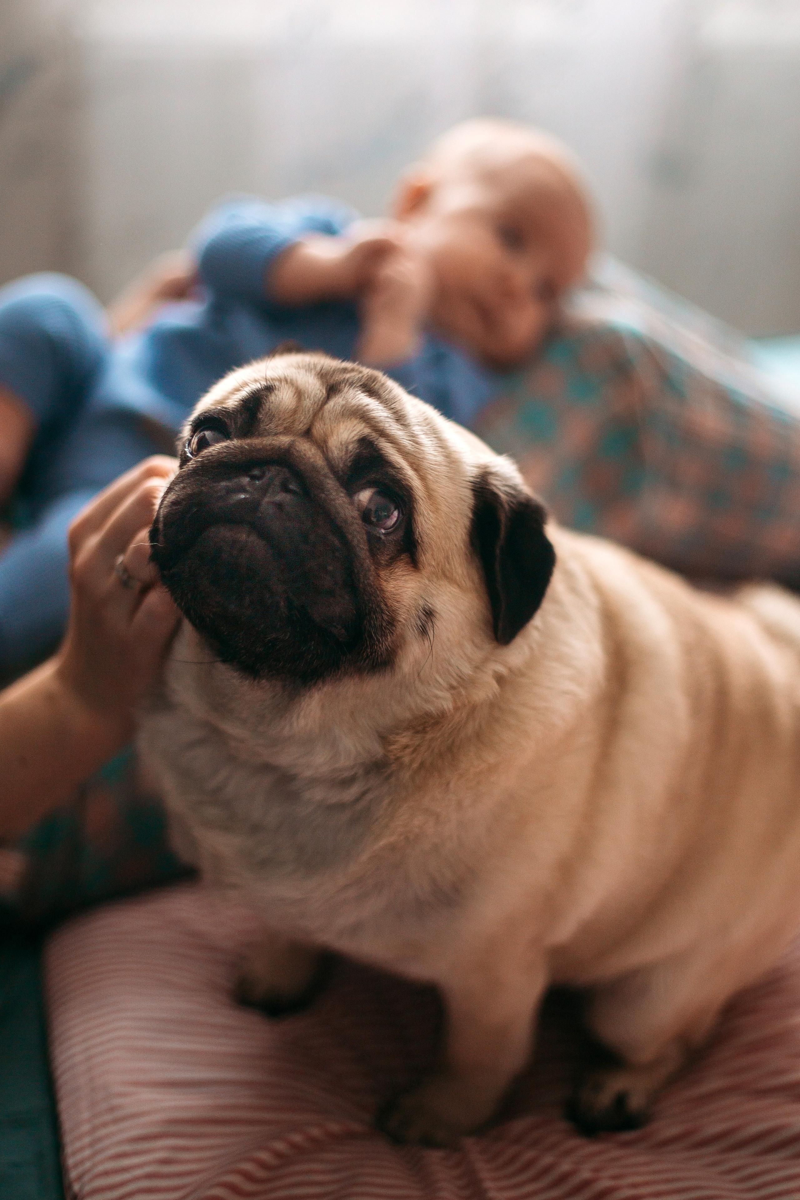 Семья Анастасии. Семейный фотограф Марина Платонова