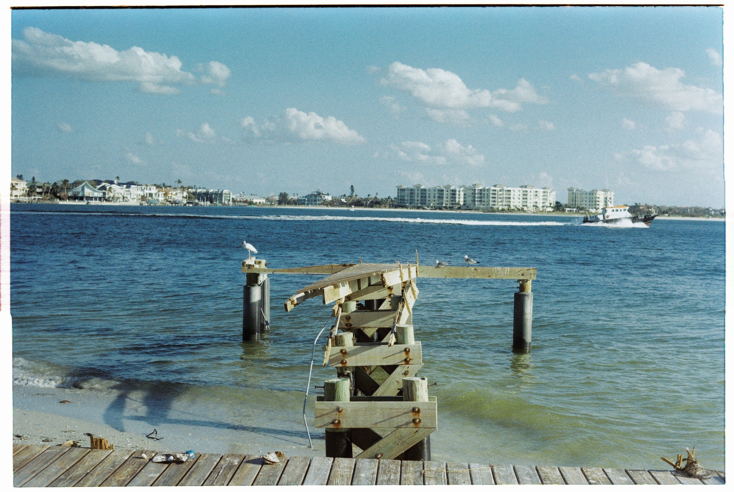 Florida. Егор Фотобрат — Портретный фотограф теперь в Ташкенте