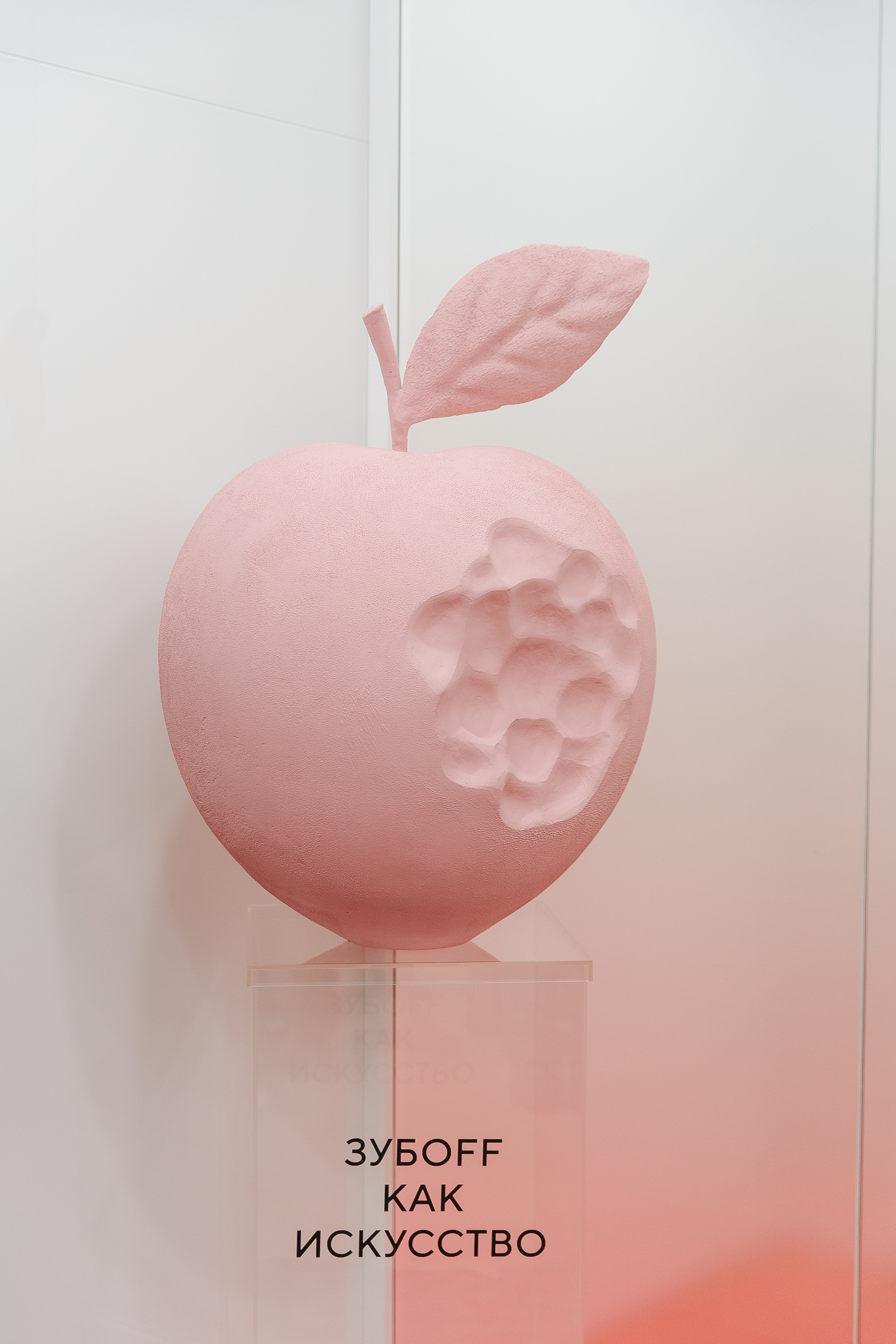 Открытие клиники. Фотограф в Красноярске Любовь Малеева