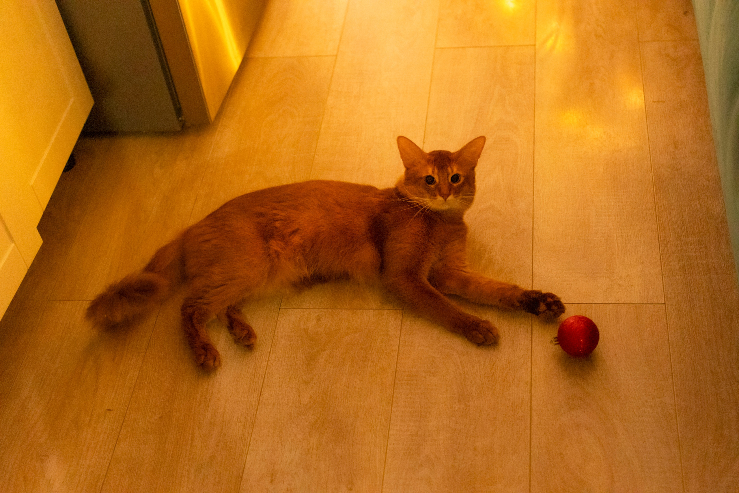 Сомали. Art my Pho