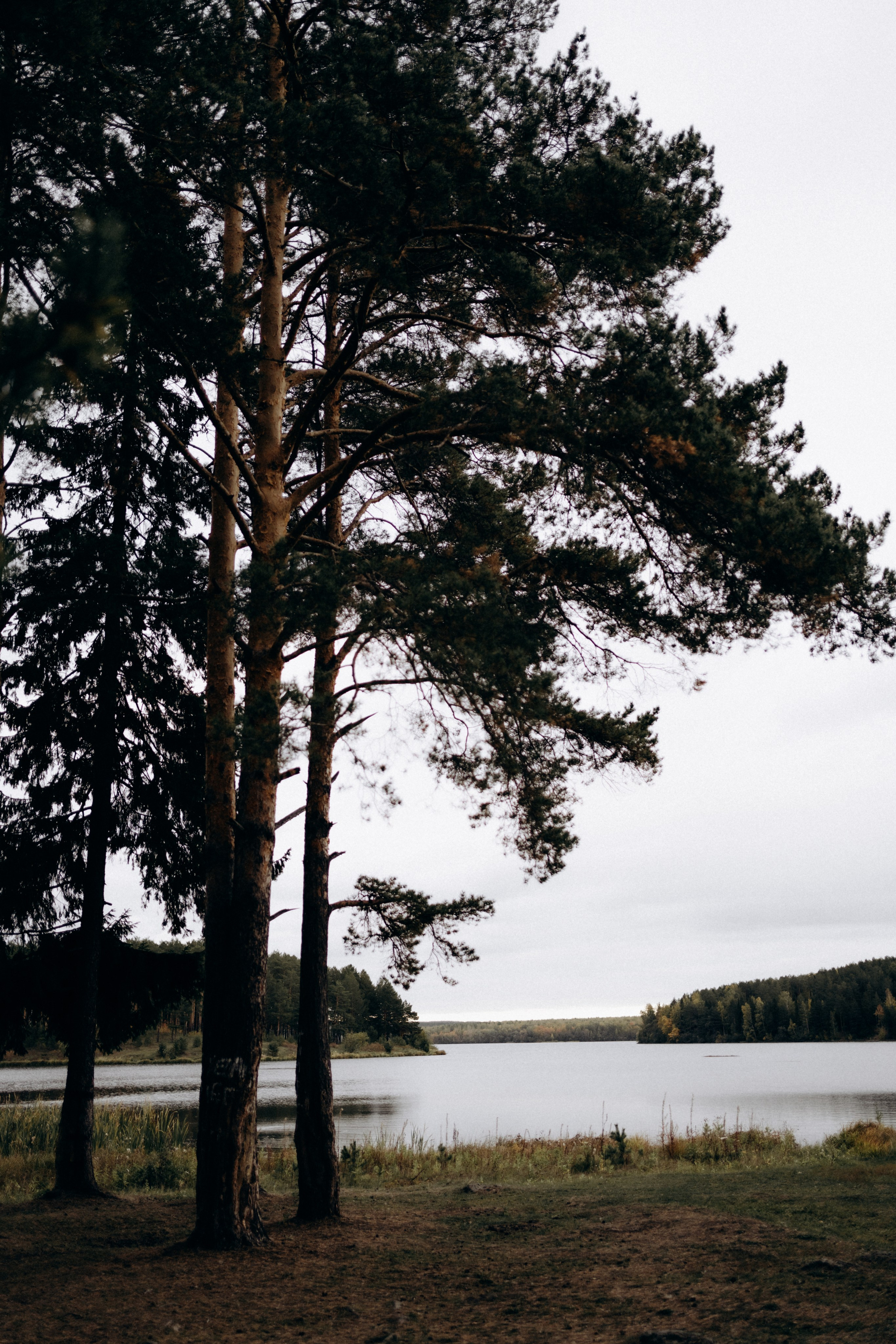 Серия для Анастасии, Осень, Урал. Фотограф Перевозкина Анна
