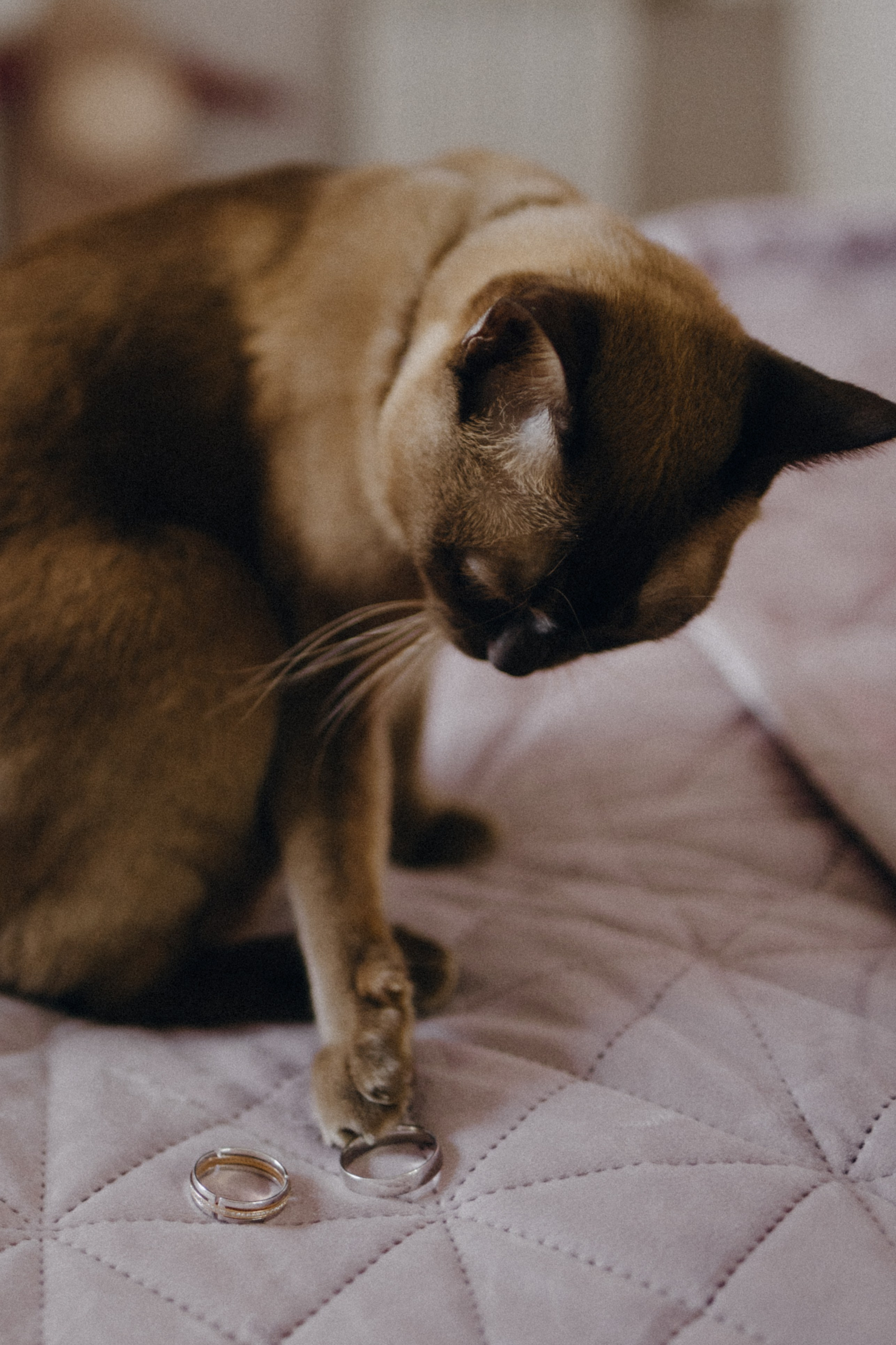 Анонс со свадьбы Надежды и Руслана. Свадебный фотограф Москва и другие города